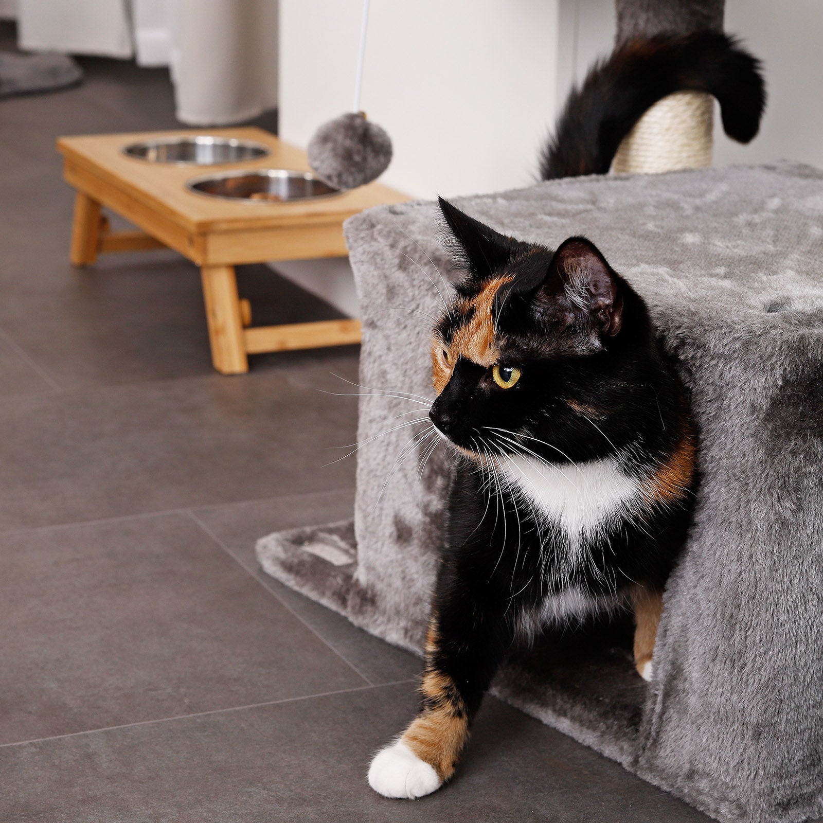 Voederstation voor katten met bamboeframe