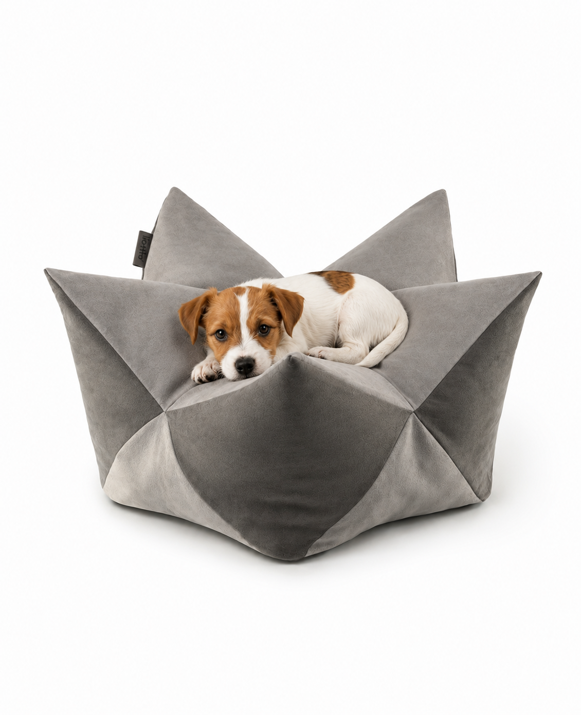 Kroonkussens voor honden