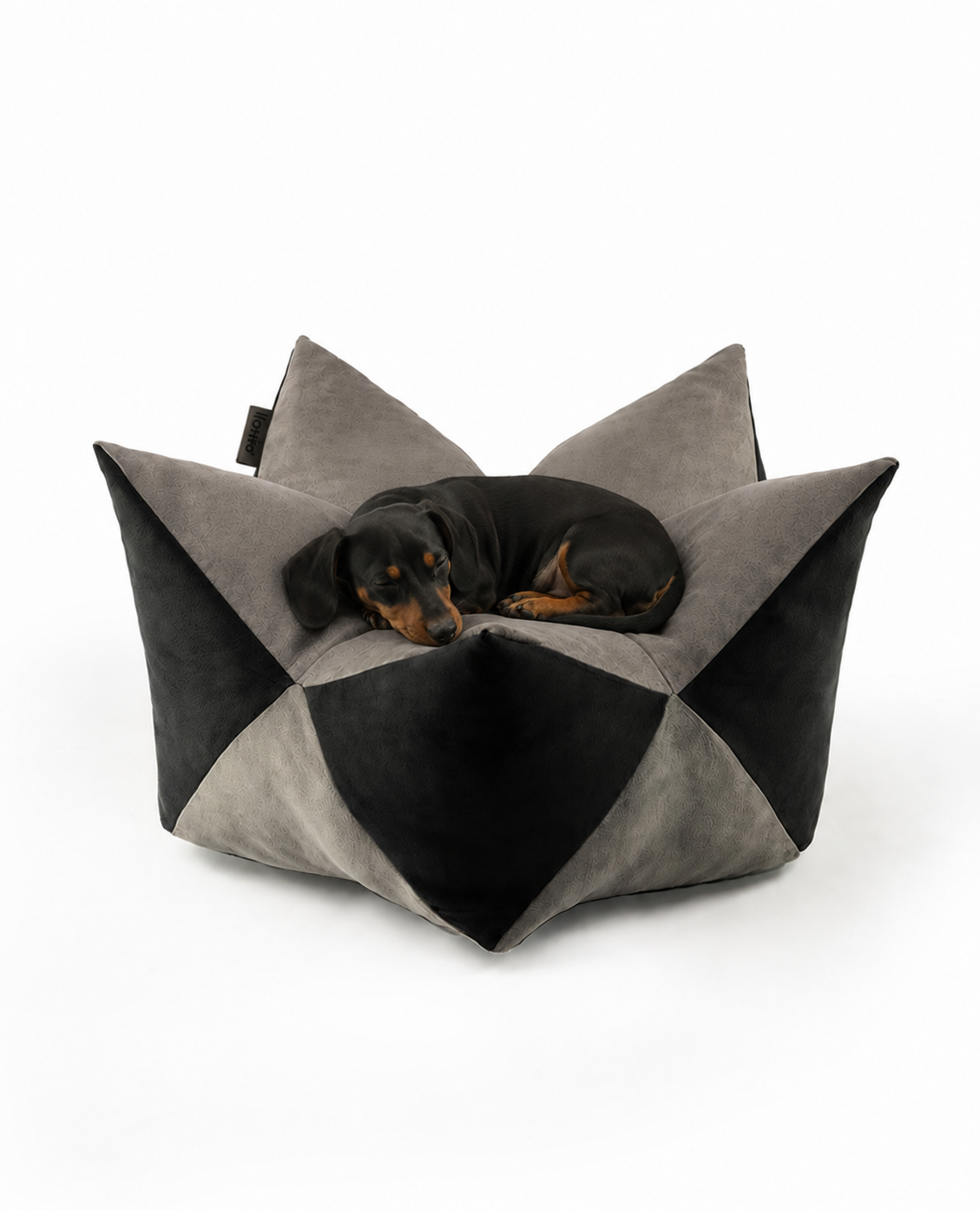 Kroonkussens voor honden
