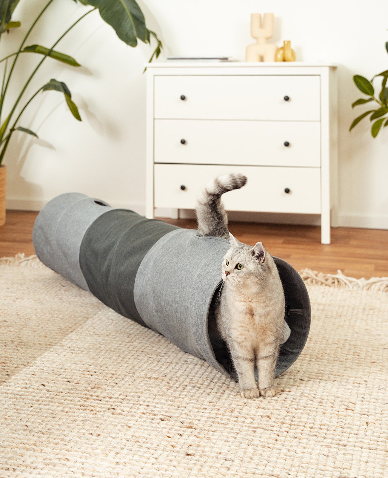 lionto Kattentunnel Speeltunnel met bal Tunnel voor huisdieren, diverse maten
