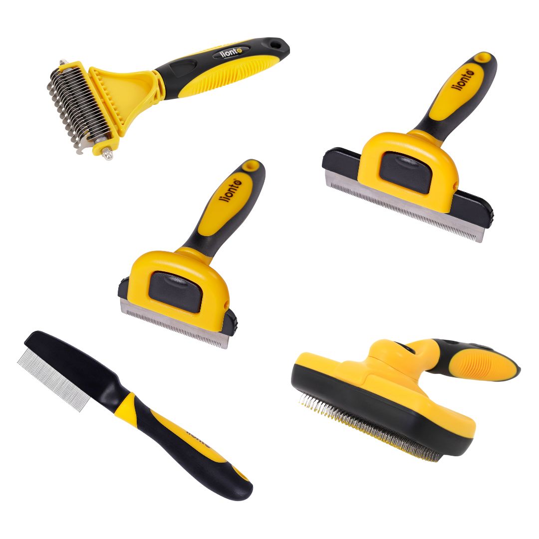 Set aus verschiedenen Hundebürsten in gelb/schwarz