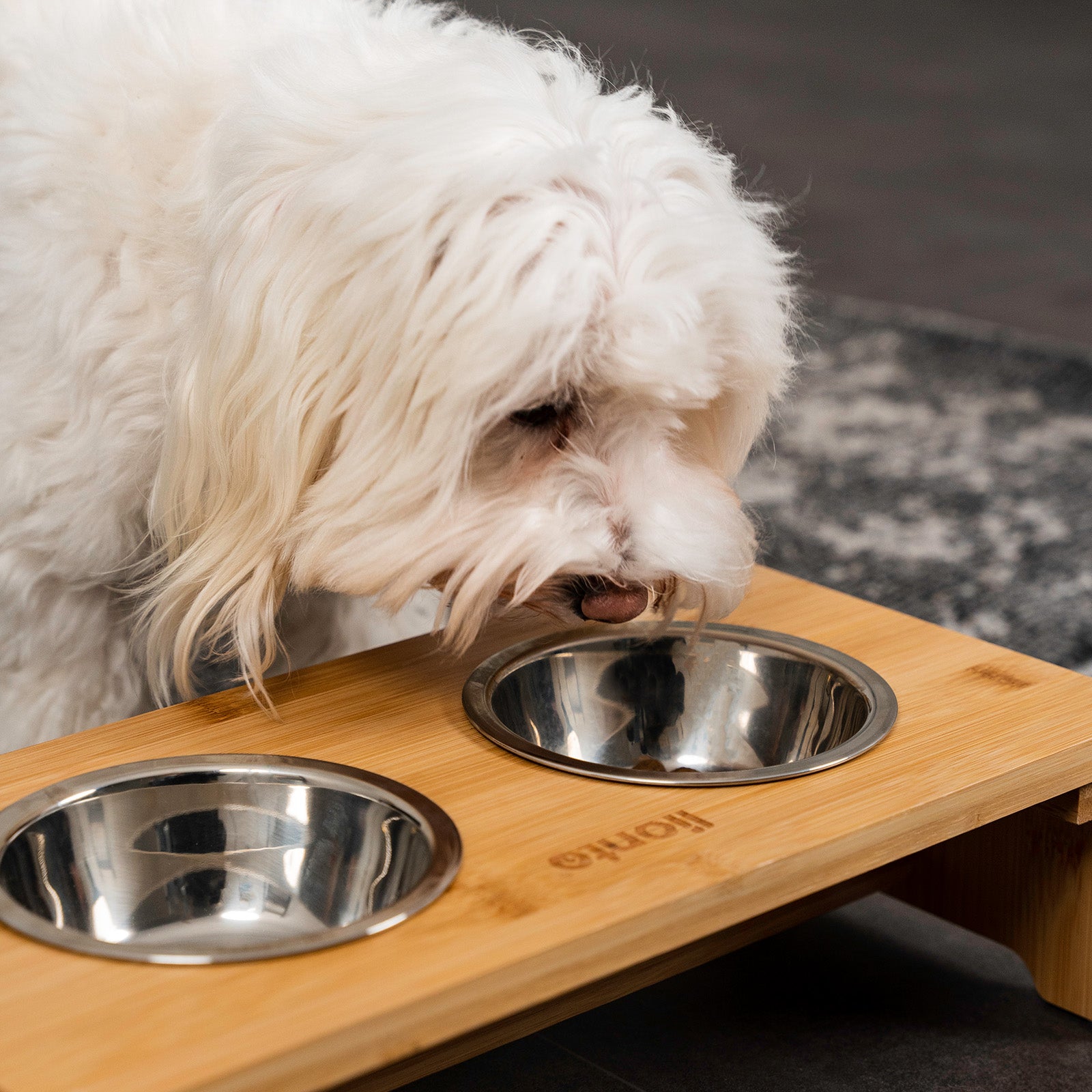 weißer Hund frisst aus Edelstahlnapf in erhöhtem Bambusgestell