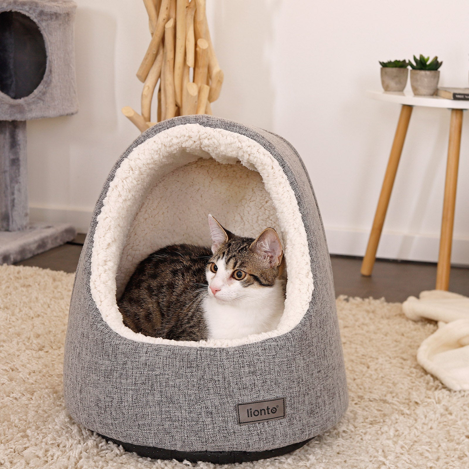 Kattengrot met omkeerbaar kussen