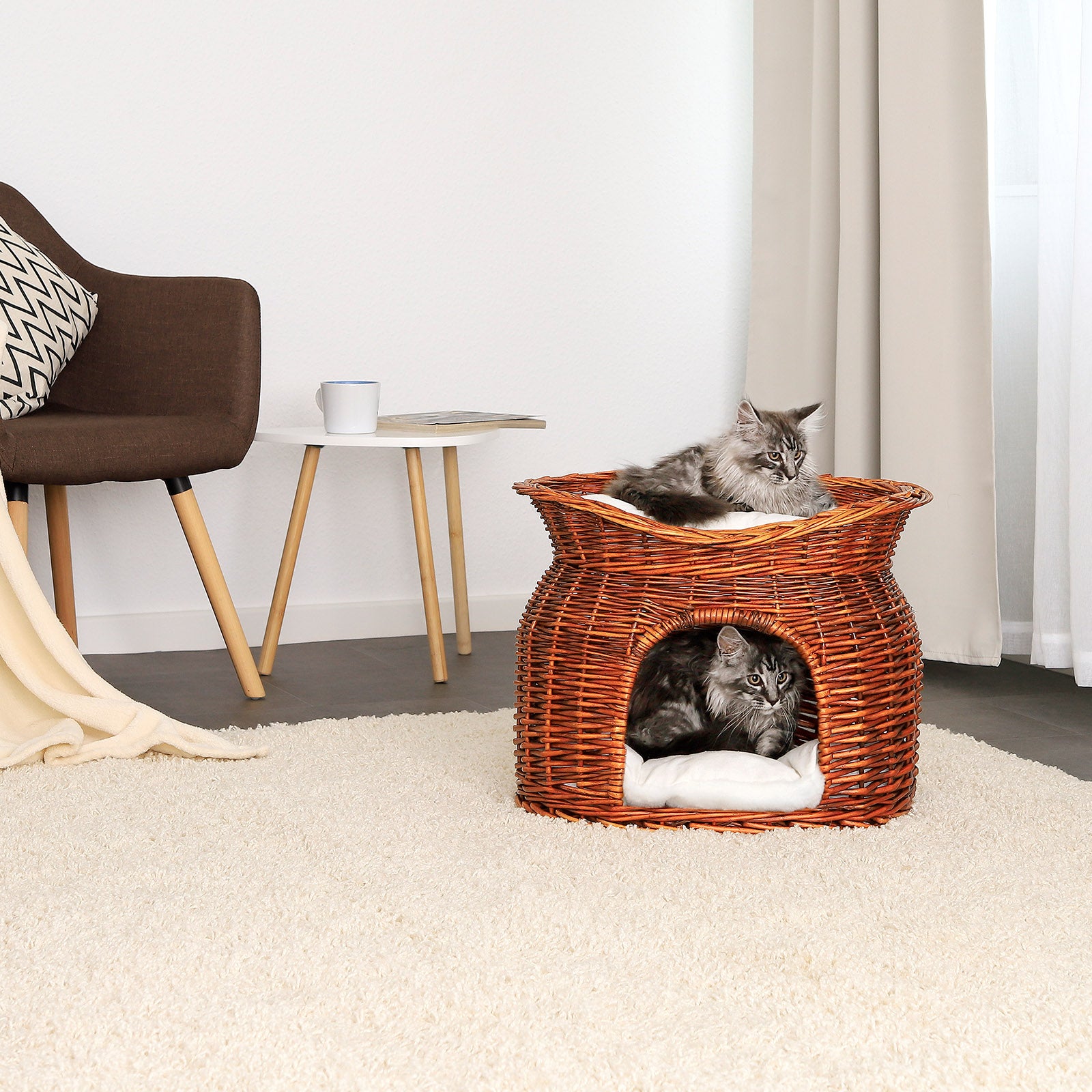 Gevlochten kattenmand wilg Kattenhol met kussen diverse kleuren 55x39x43 cm