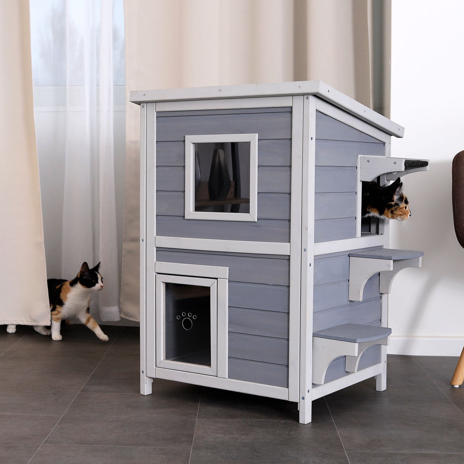 zwei Katzen sitzen im und am Katzenhaus im Wohnzimmer