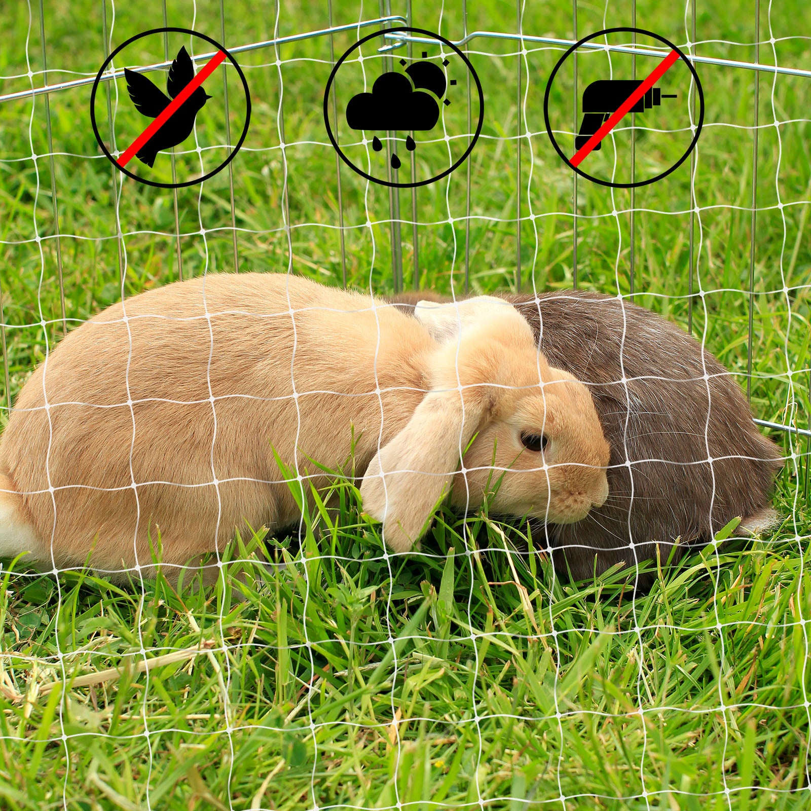 lionto Kattennet balkonbeschermingsnet Kattenbeschermingsnet in verschillende maten