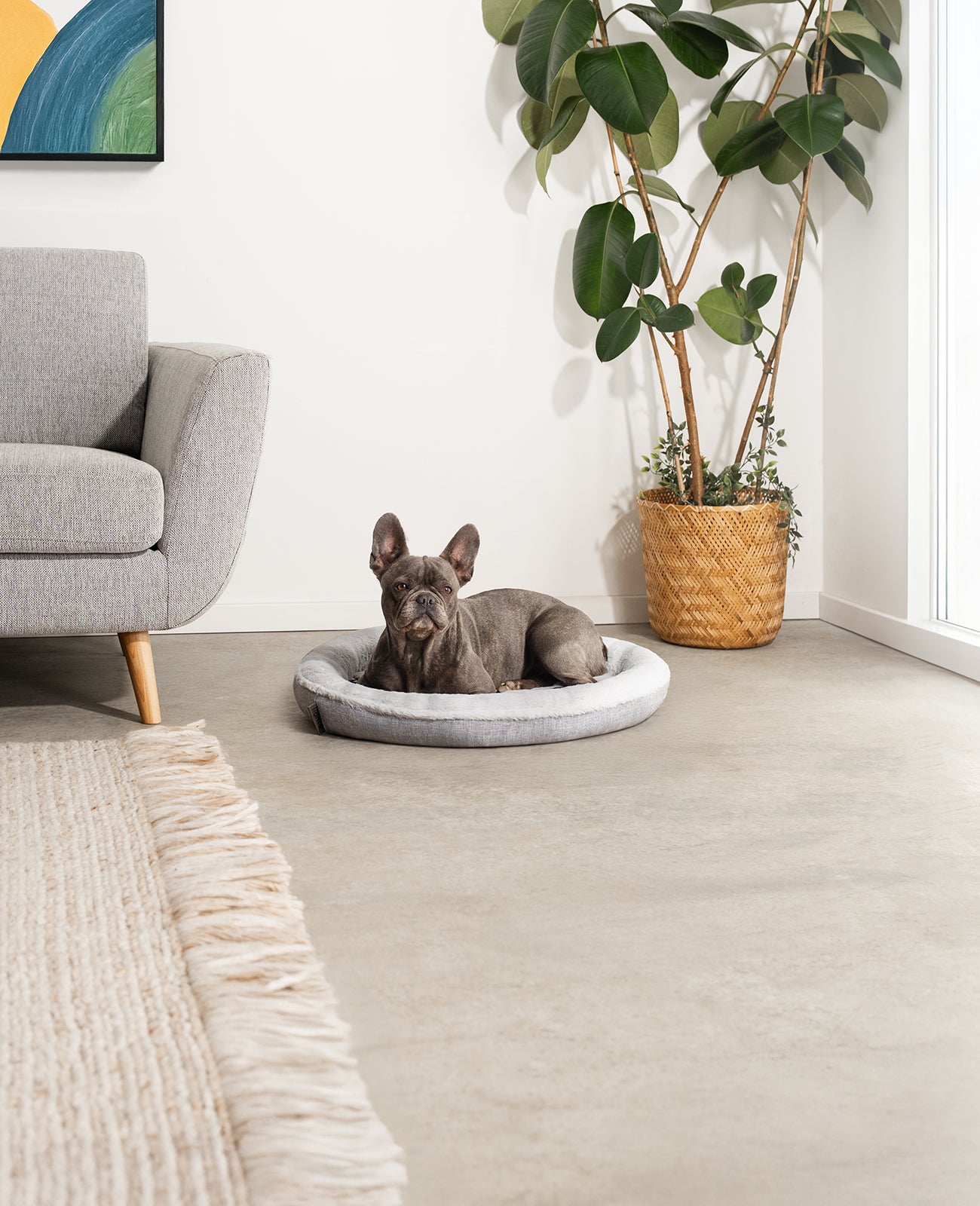 Rond hondenbed in donutvorm