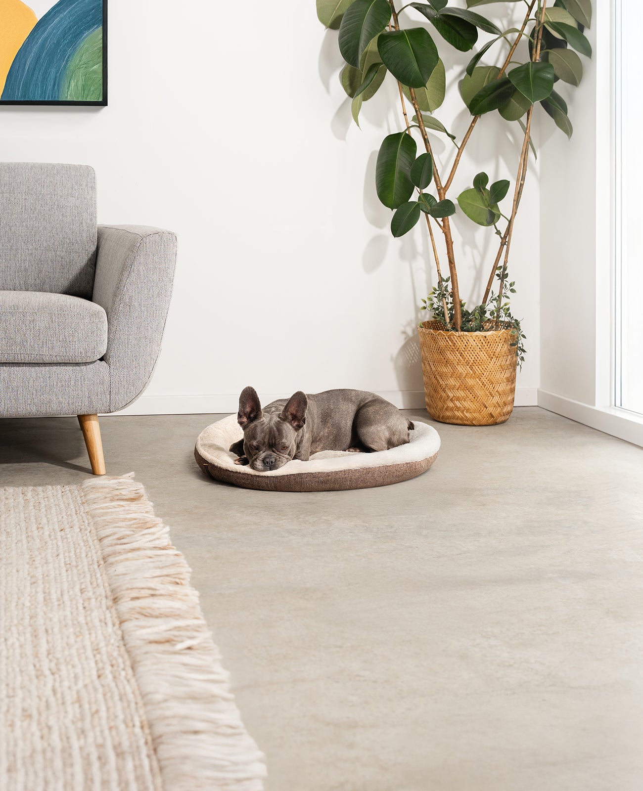 Rond hondenbed in donutvorm