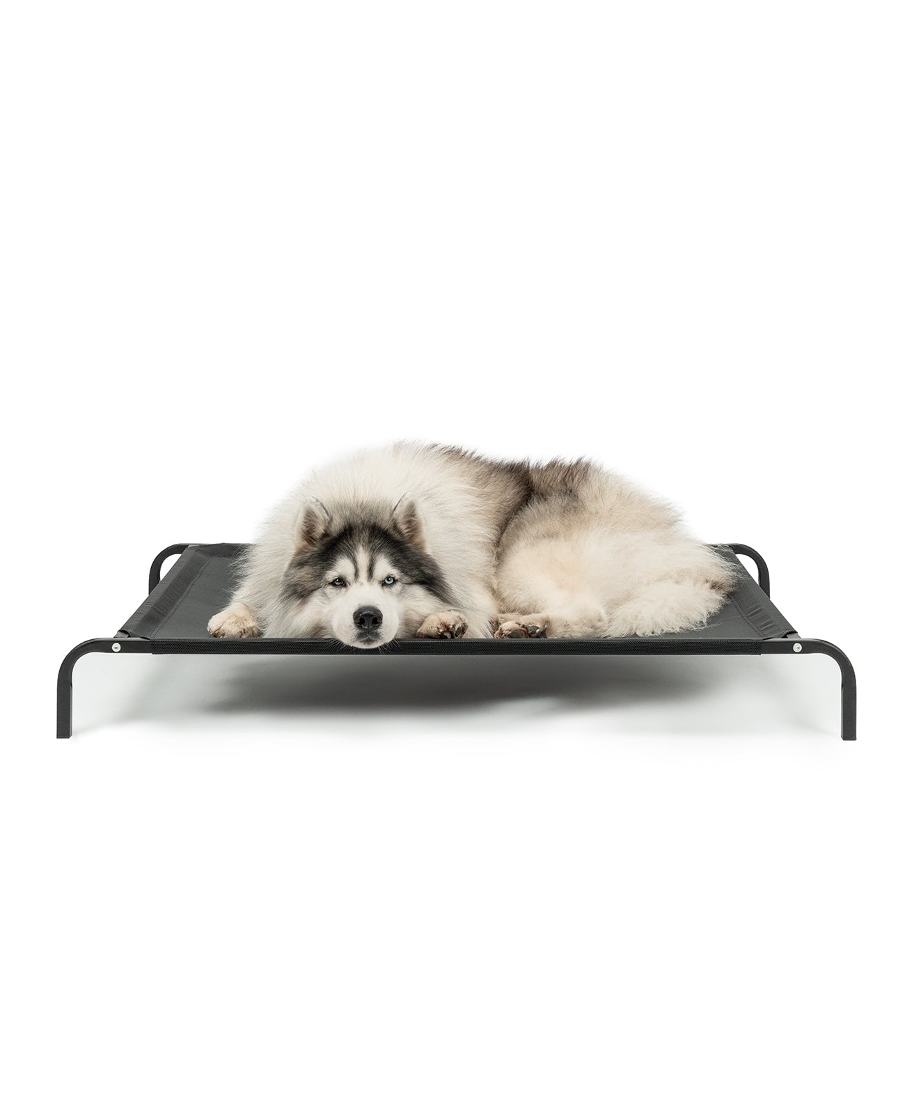 lionto hondenligstoel buiten verhoogd hondenbed ligstoel diverse kleuren & maten