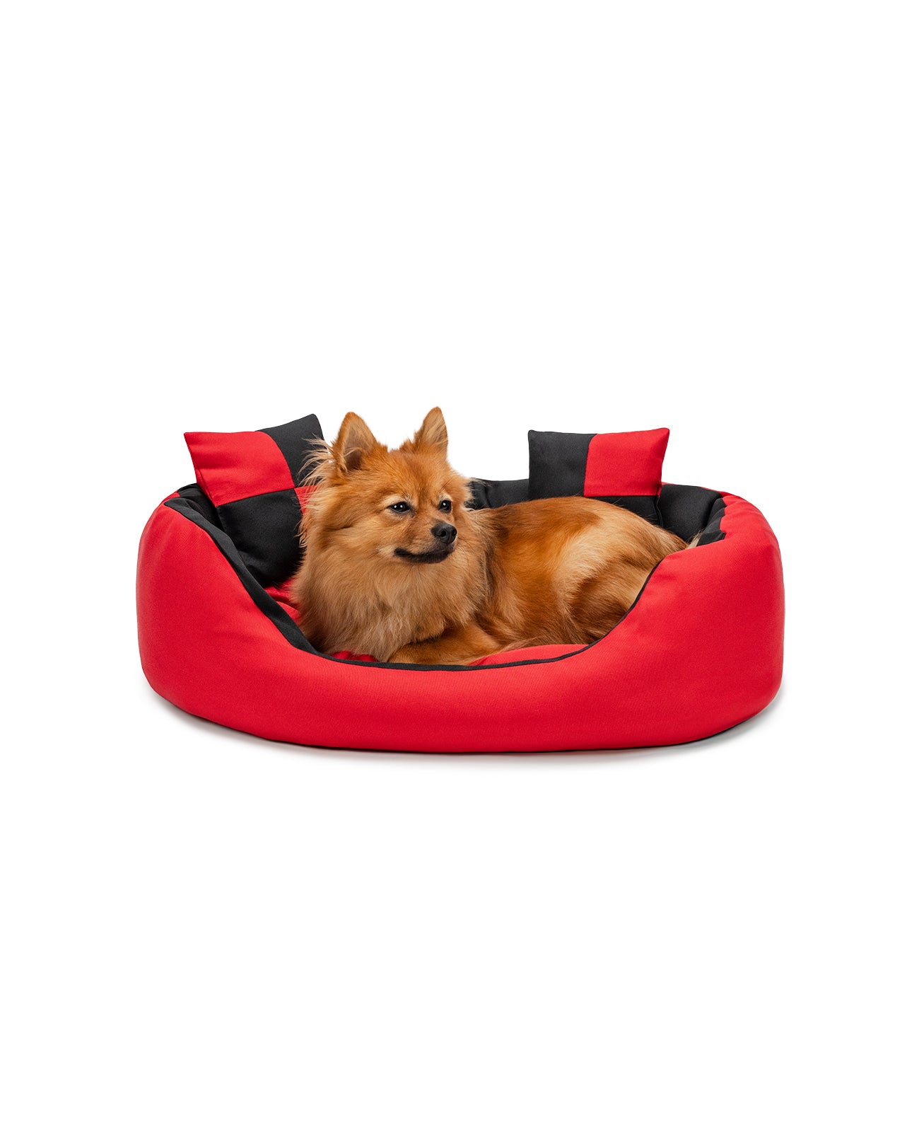 Zwergspitzt liegt in Hundebett aus Oxfordgewebe mit Wendekissen in rot/schwarz