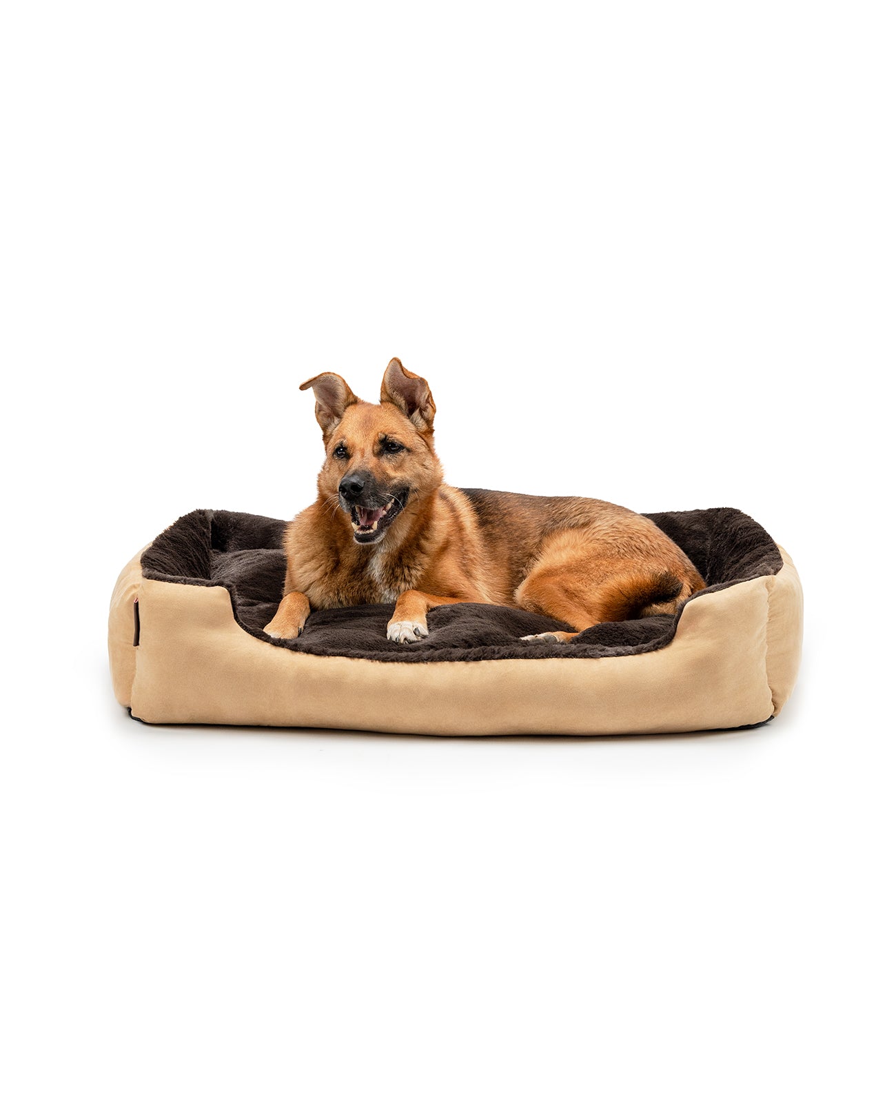 Hund liegt in Hundekissen mit Wendekissen