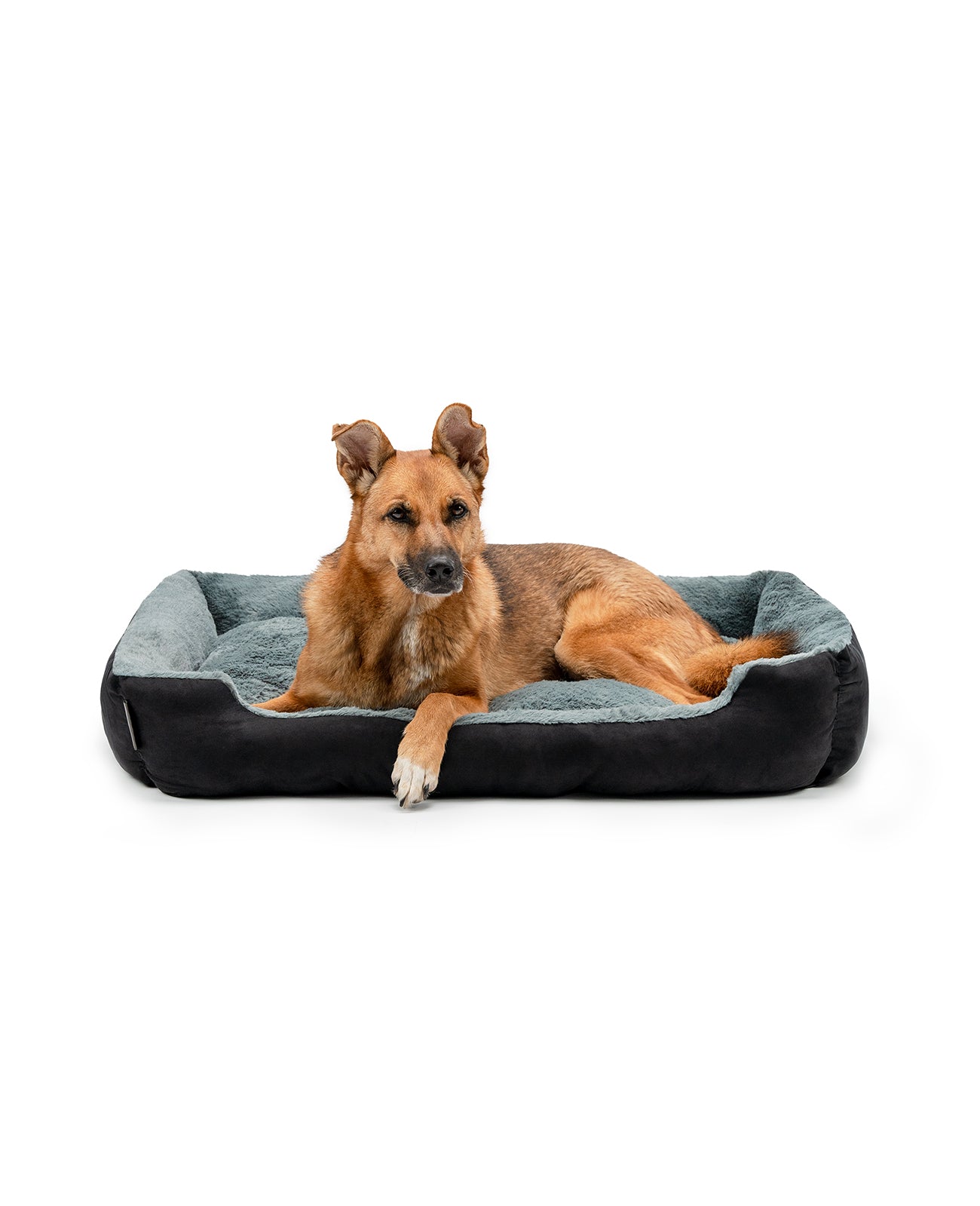 Hund liegt in Hundekissen mit Wendekissen