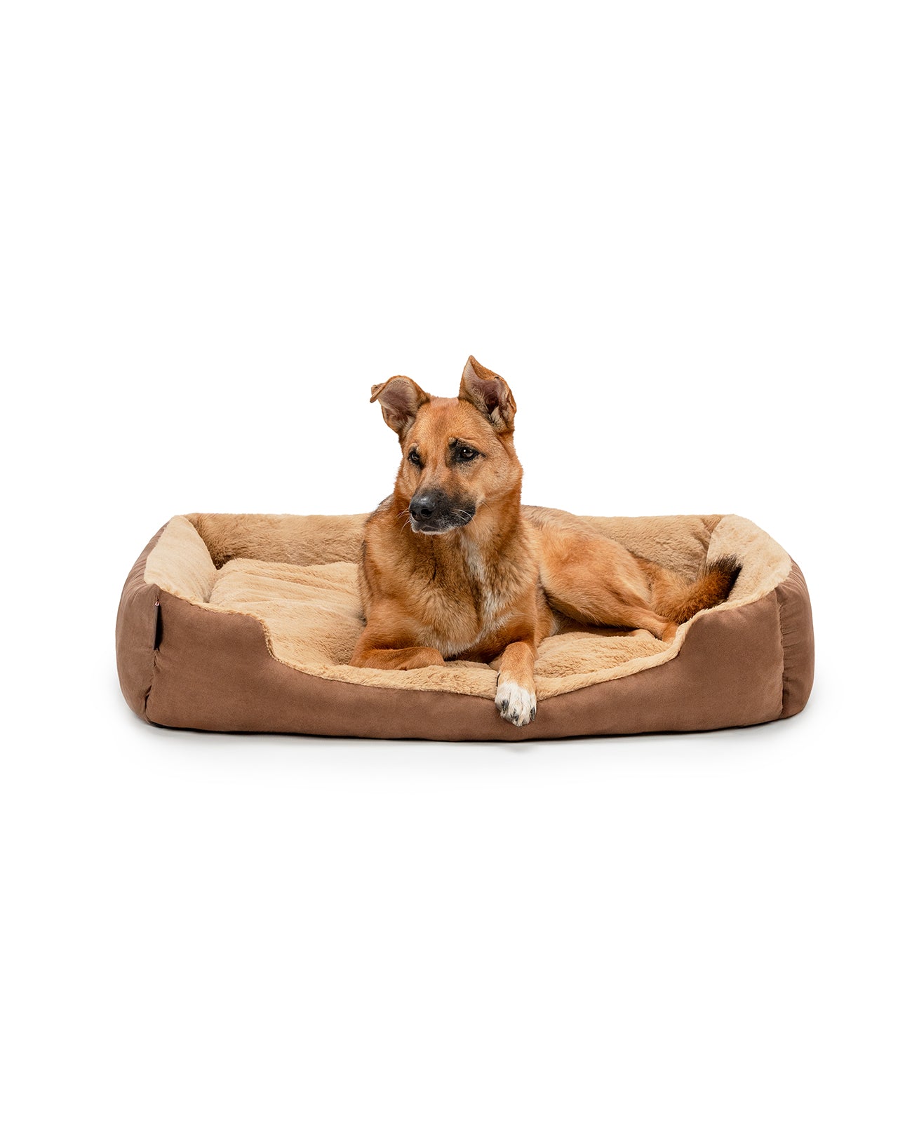 Hund liegt in meliertem Hundebett mit Wendekissen