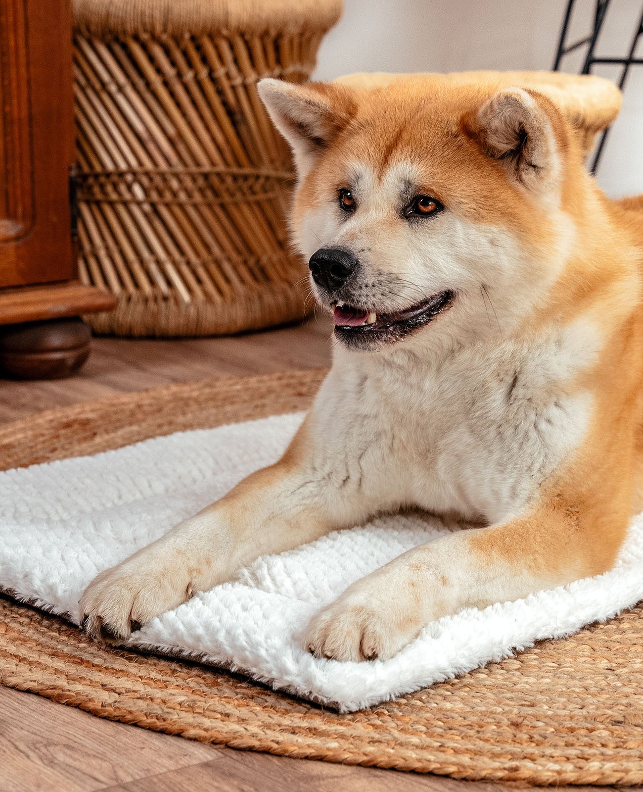 Omkeerbare deken voor honden