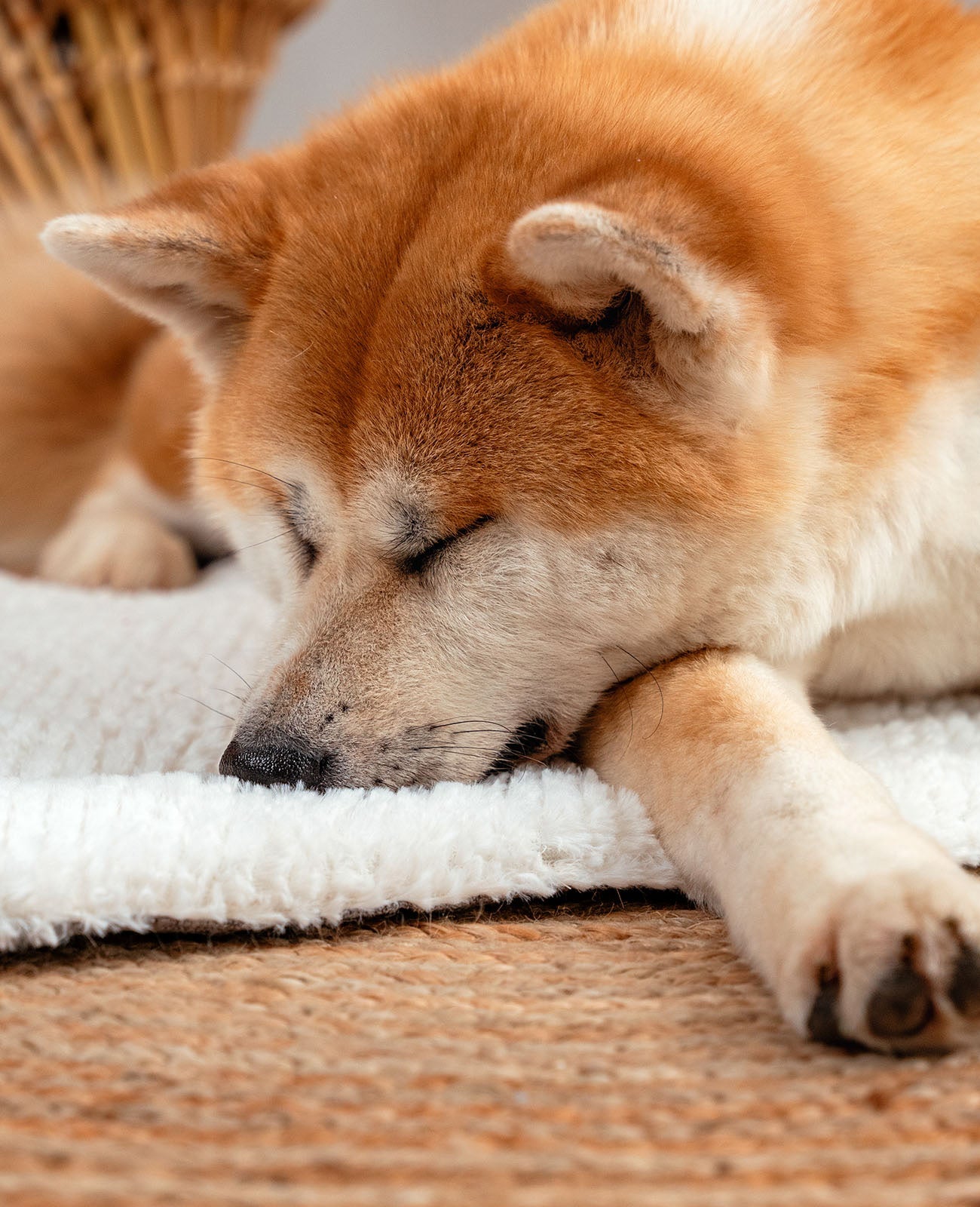 Omkeerbare deken voor honden