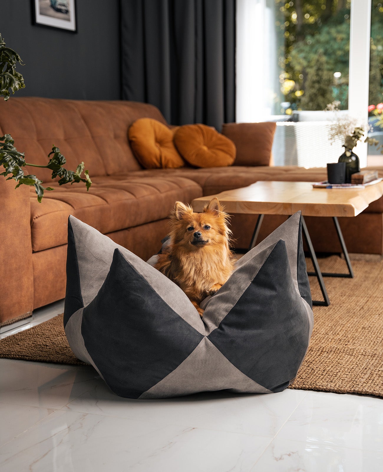 Kroonkussens voor honden