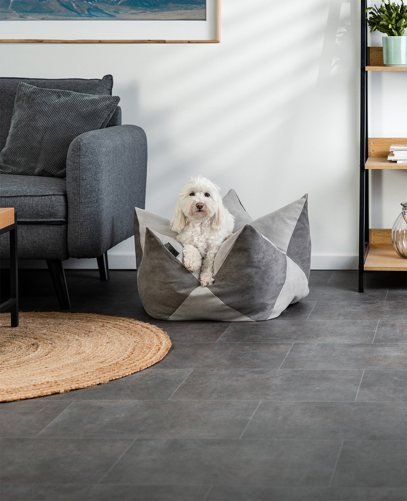 Kroonkussens voor honden