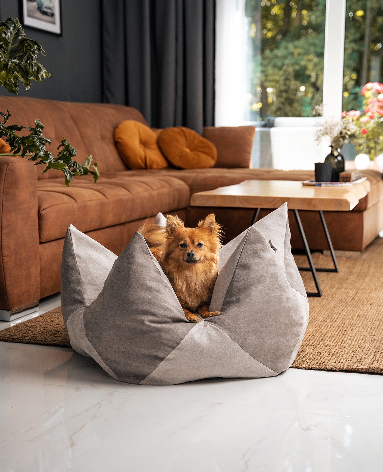 Kroonkussens voor honden