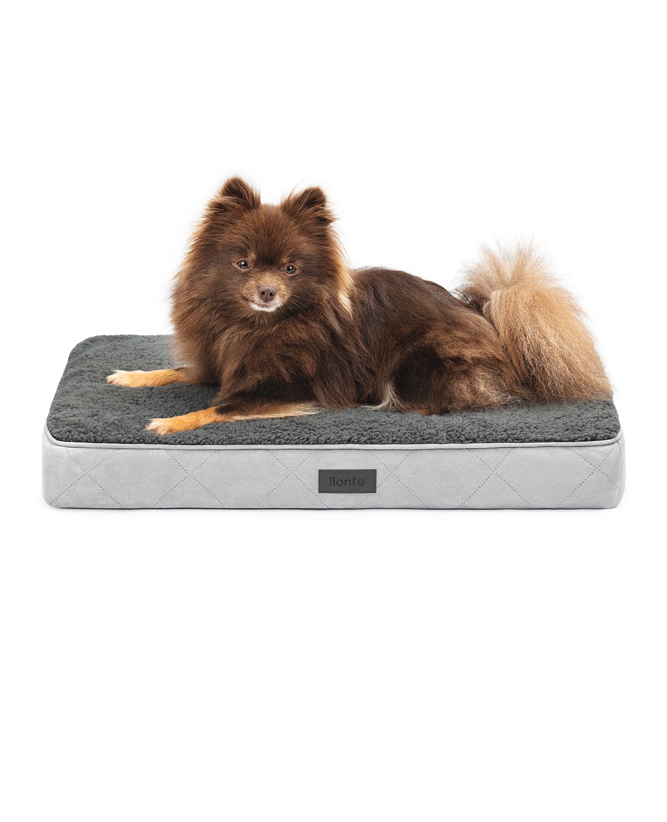 lionto hondenbed orthopedisch, voor honden & katten, verschillende designs