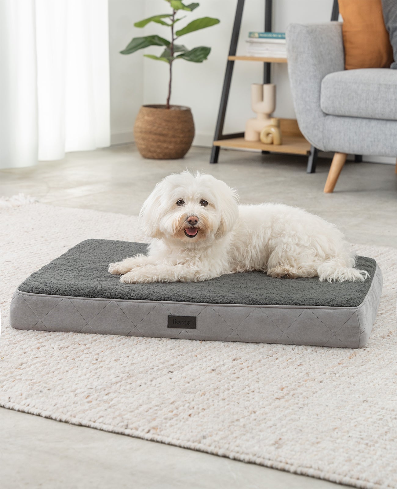 lionto hondenbed orthopedisch, voor honden & katten, verschillende designs