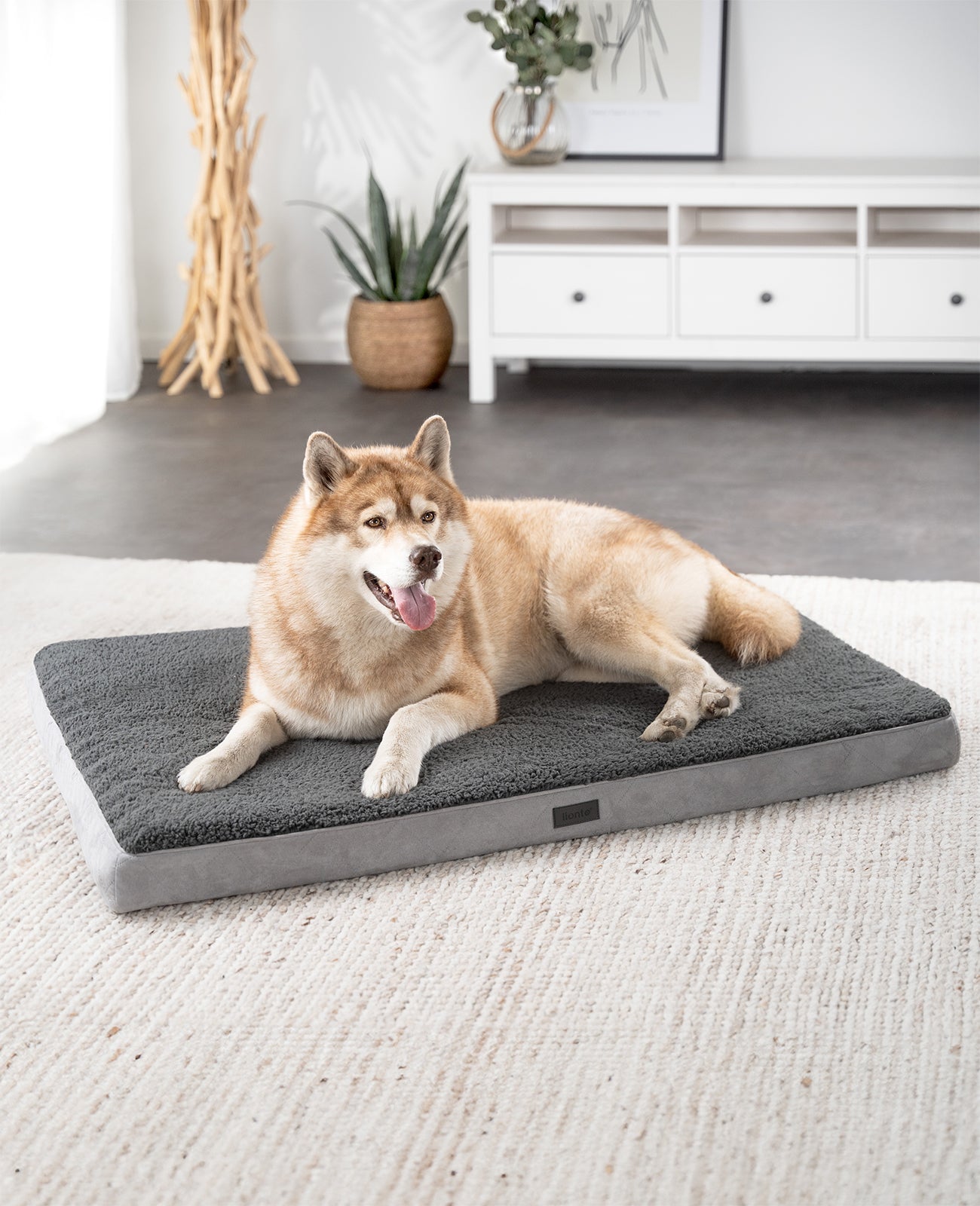 lionto hondenbed orthopedisch, voor honden & katten, verschillende designs