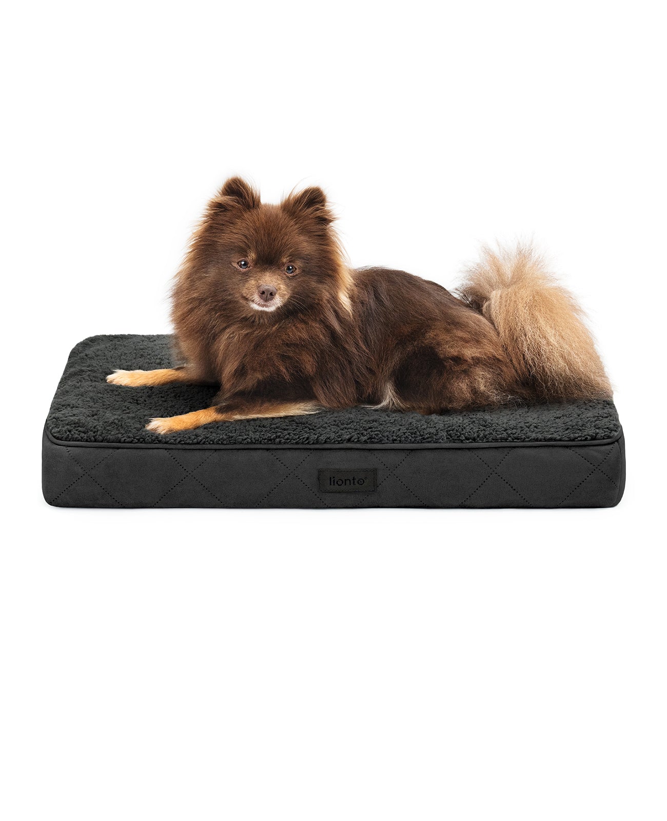 lionto hondenbed orthopedisch, voor honden & katten, verschillende designs