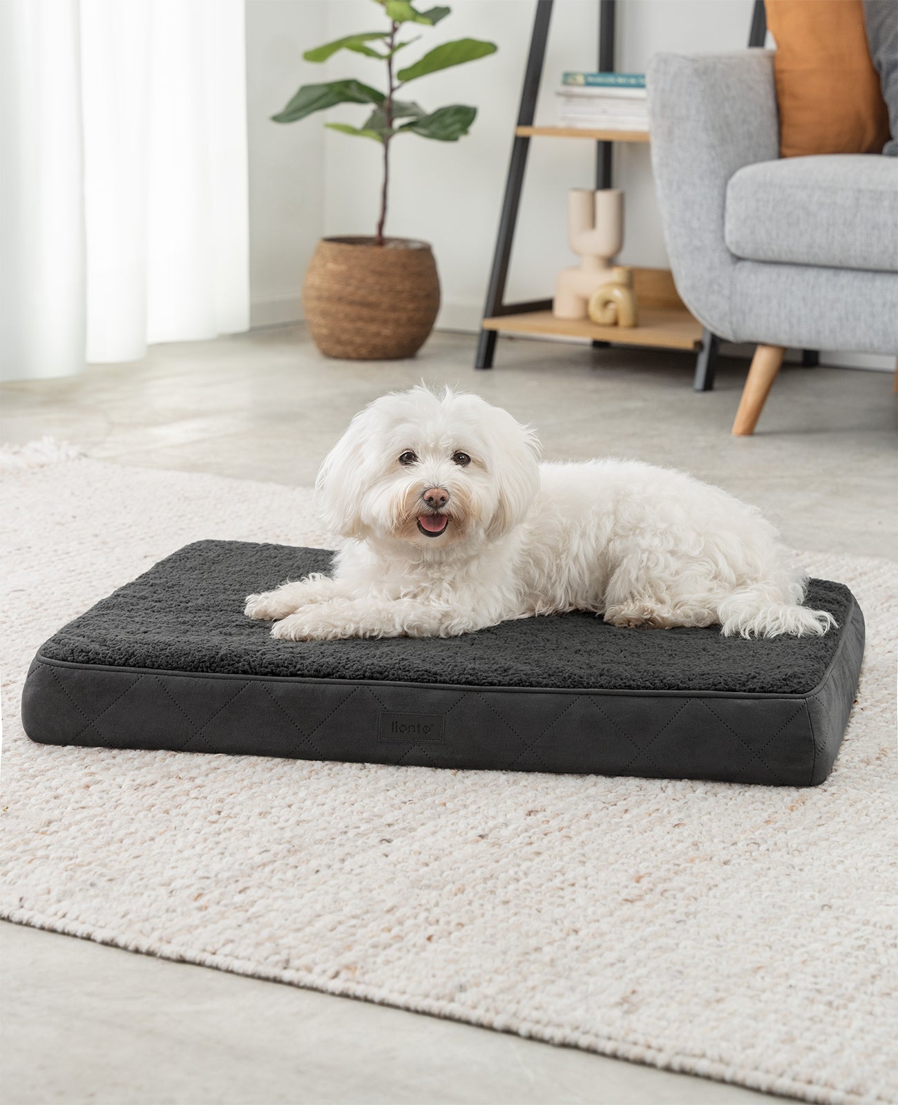 lionto hondenbed orthopedisch, voor honden & katten, verschillende designs