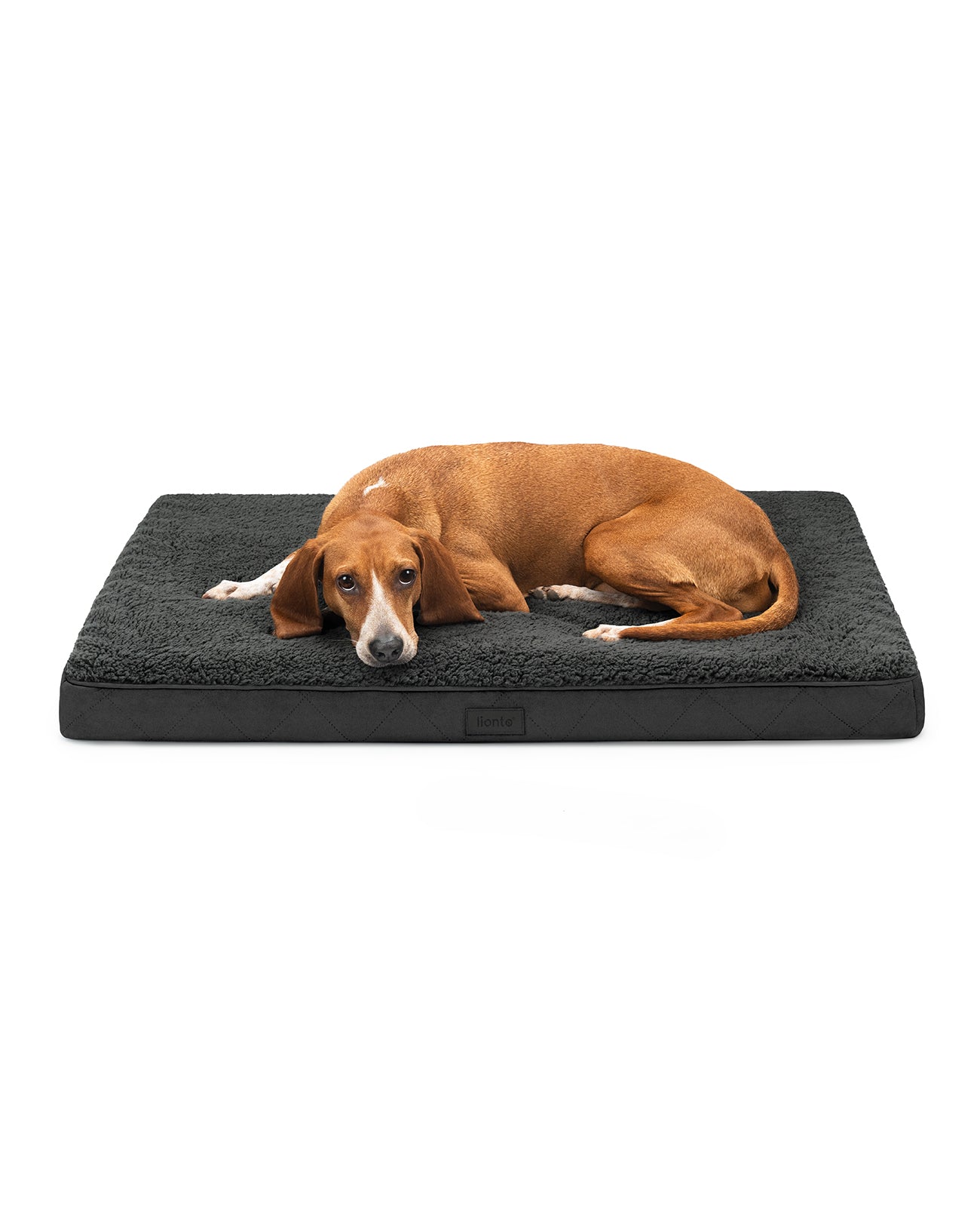 lionto hondenbed orthopedisch, voor honden & katten, verschillende designs