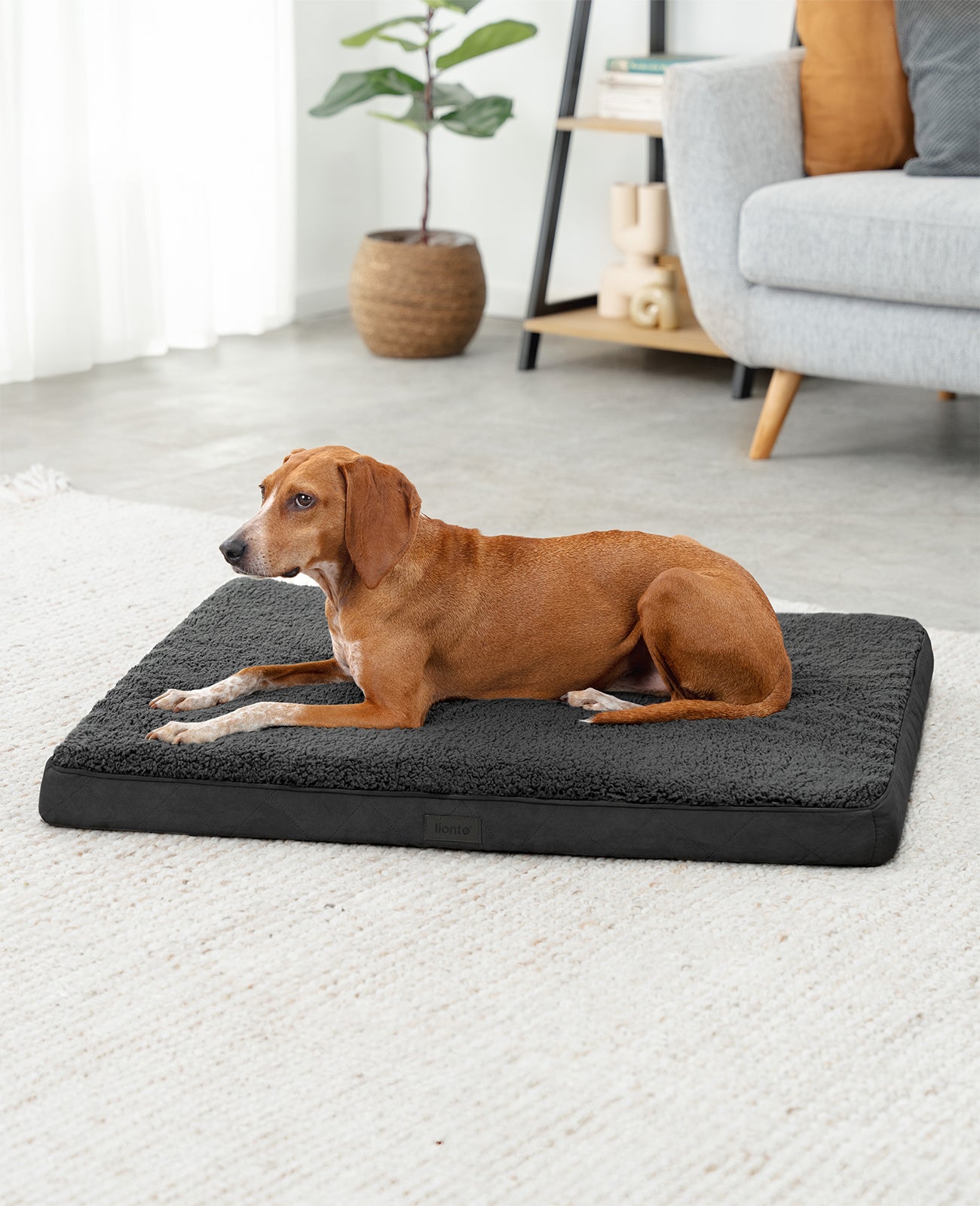 lionto hondenbed orthopedisch, voor honden & katten, verschillende designs