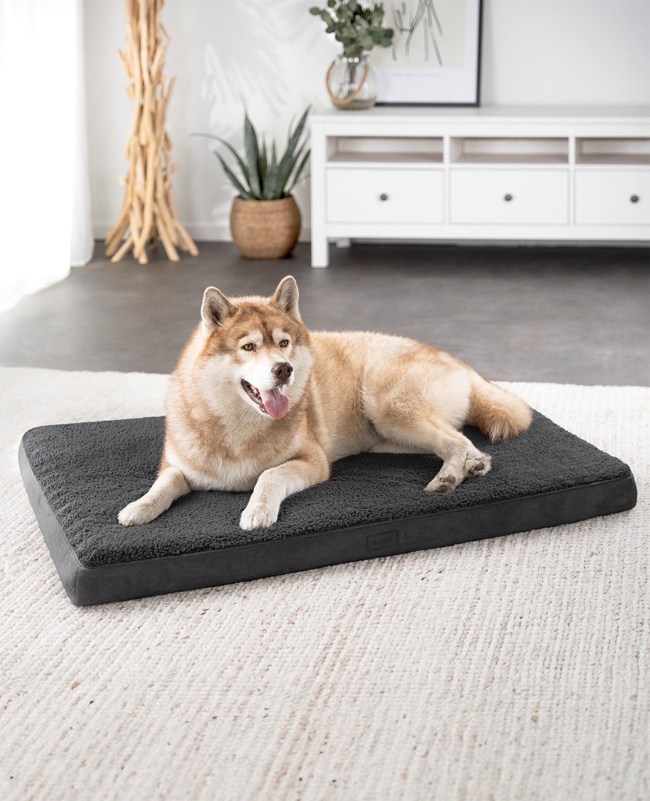 lionto hondenbed orthopedisch, voor honden & katten, verschillende designs