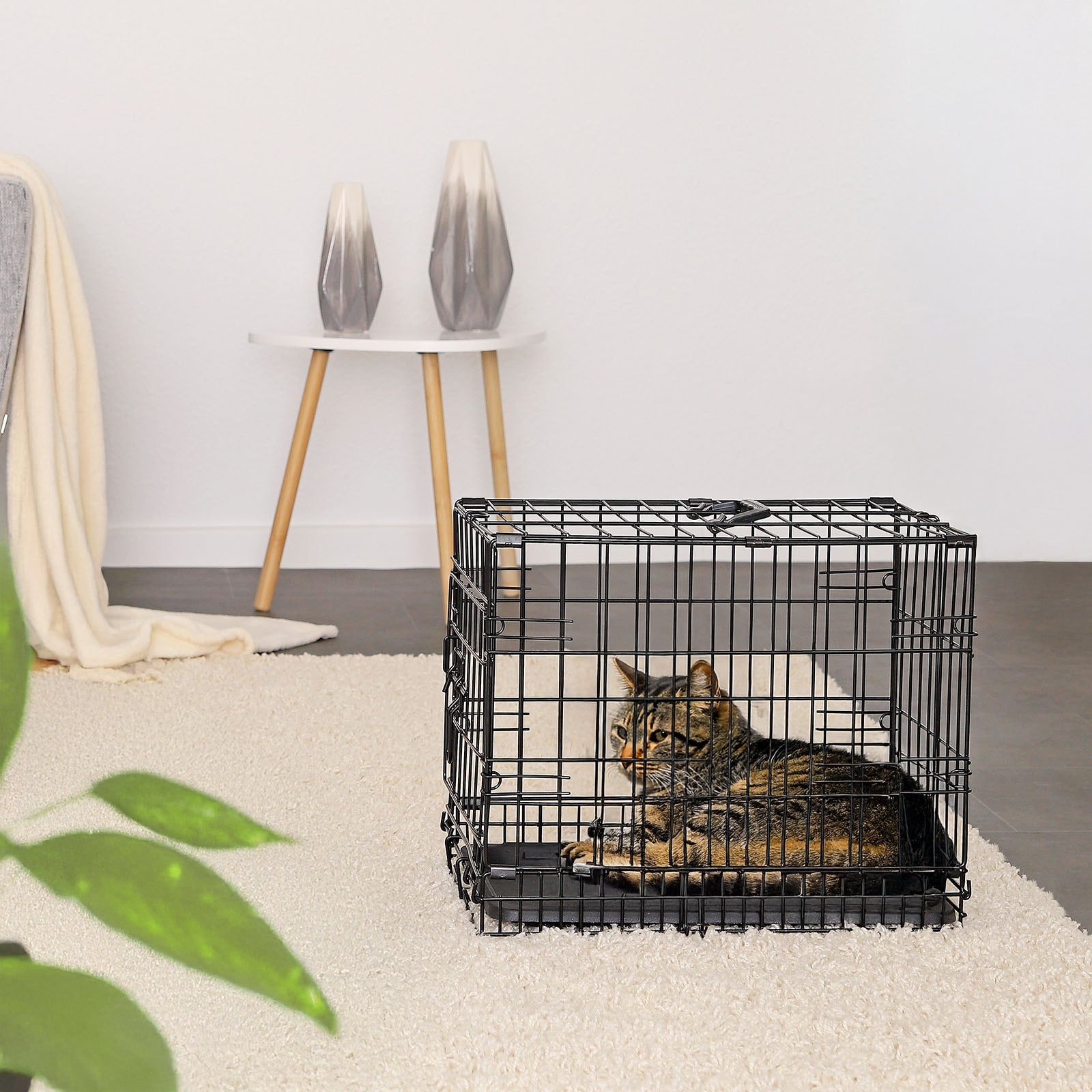 Kattentransportkooi met bodemplaat