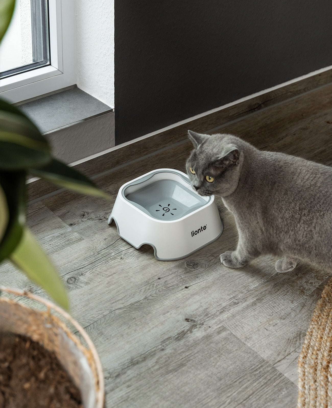 Anti-Schlabber-Napf, 1 Liter