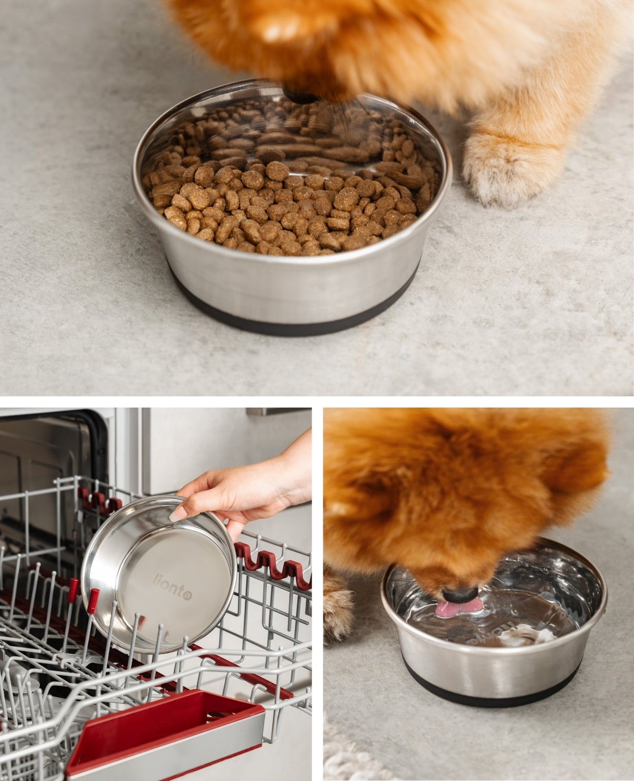 lionto roestvrijstalen Bak, antislip, Waterbak voor honden & katten