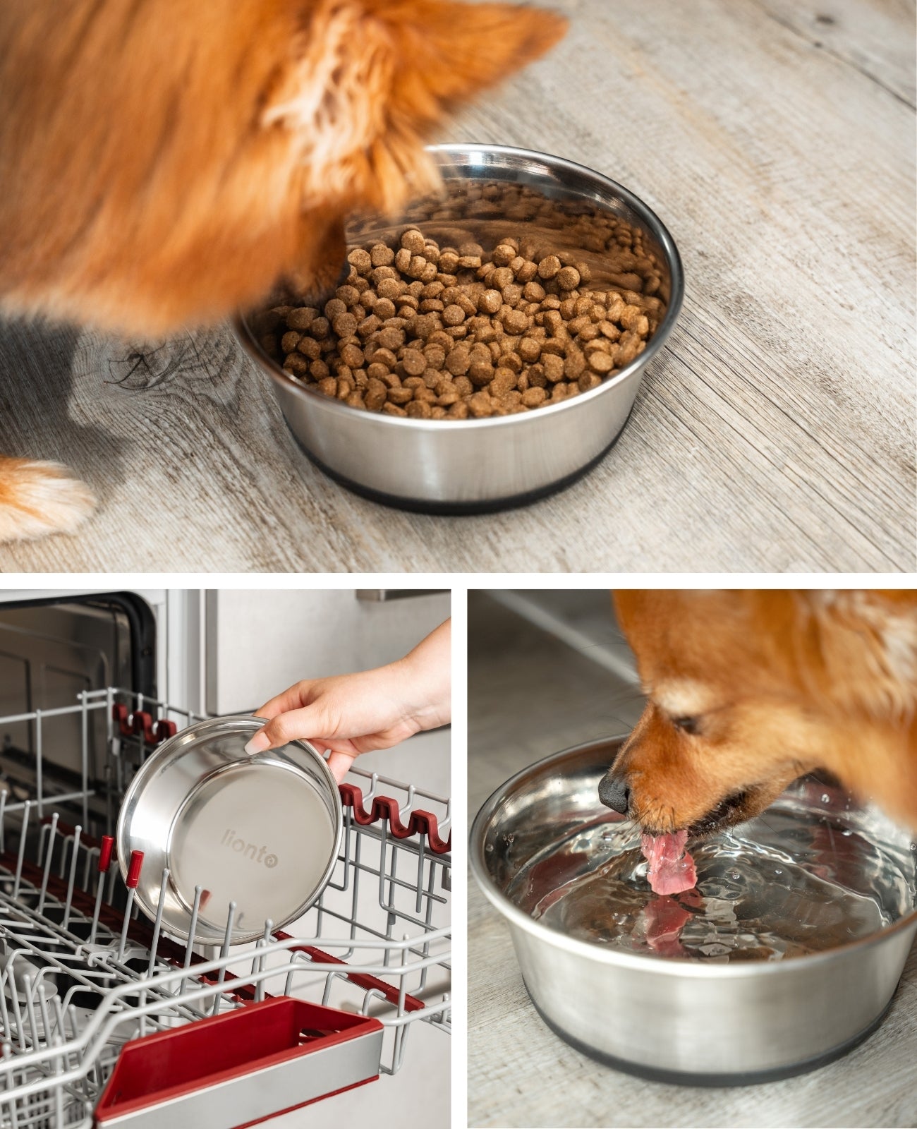 lionto roestvrijstalen Bak, antislip, Waterbak voor honden & katten
