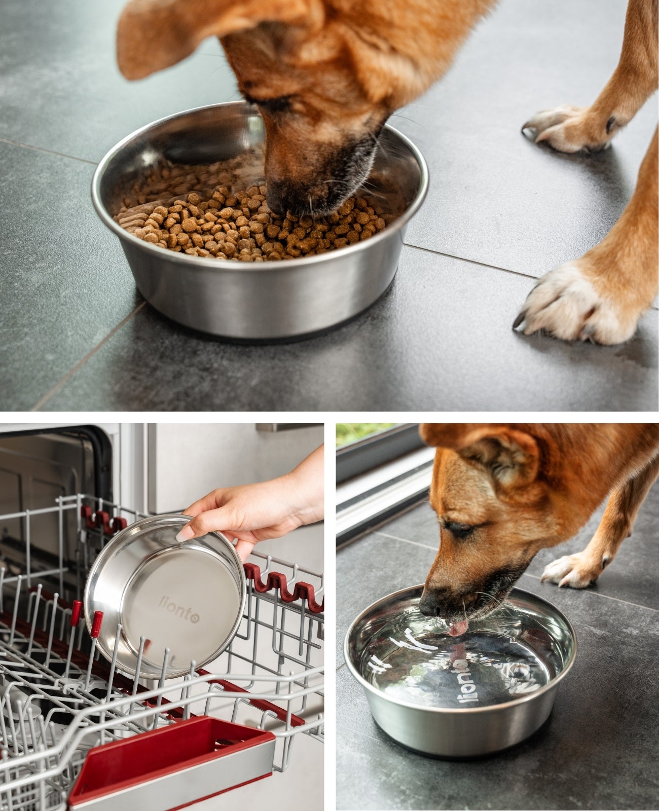 lionto roestvrijstalen Bak, antislip, Waterbak voor honden & katten