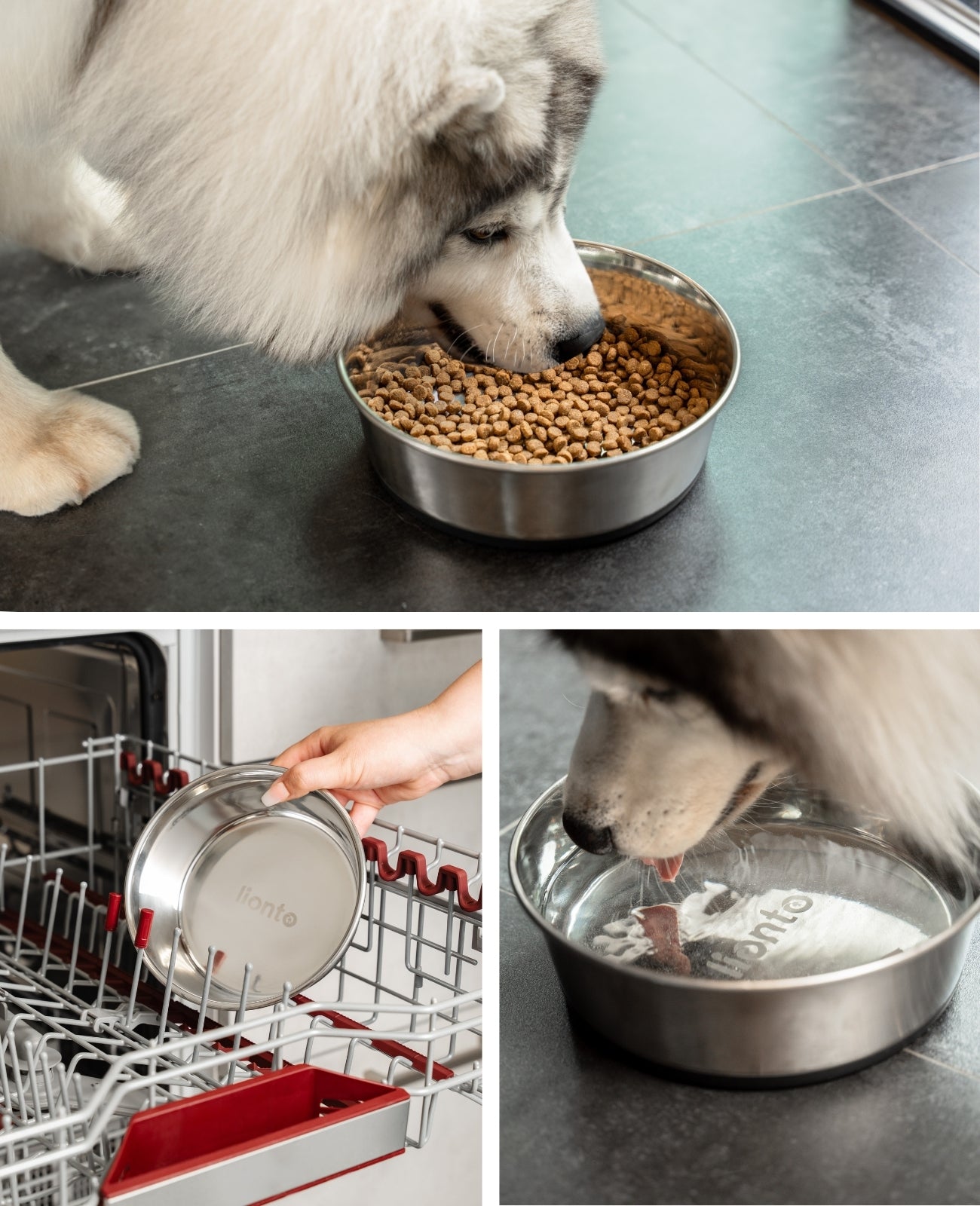 lionto roestvrijstalen Bak, antislip, Waterbak voor honden & katten