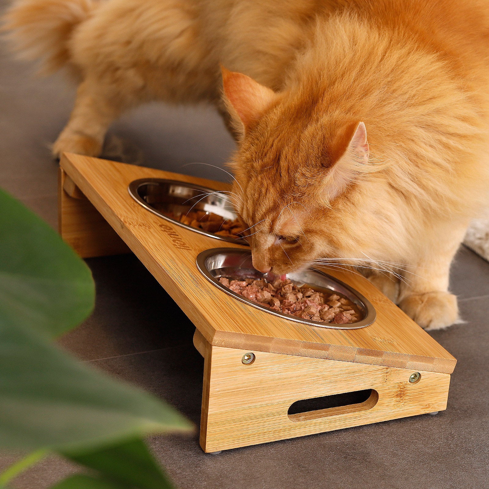 Verhoogde kattenbak met bamboe onderstel