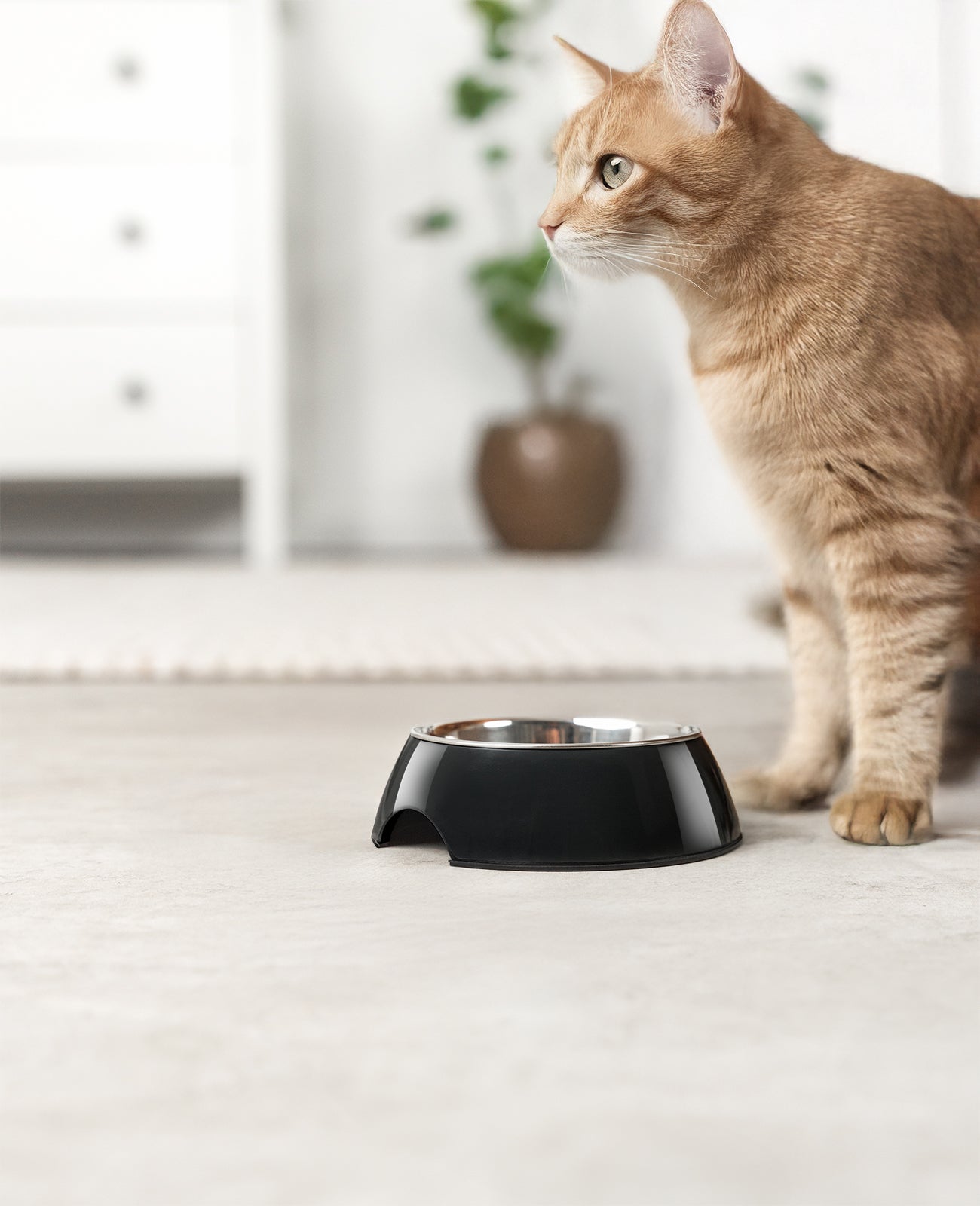 lionto melamine Voerbak, antislip, voor honden & katten, verschillende varianten