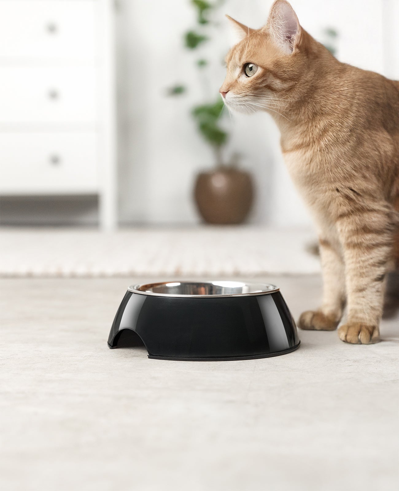 lionto melamine Voerbak, antislip, voor honden & katten, verschillende varianten