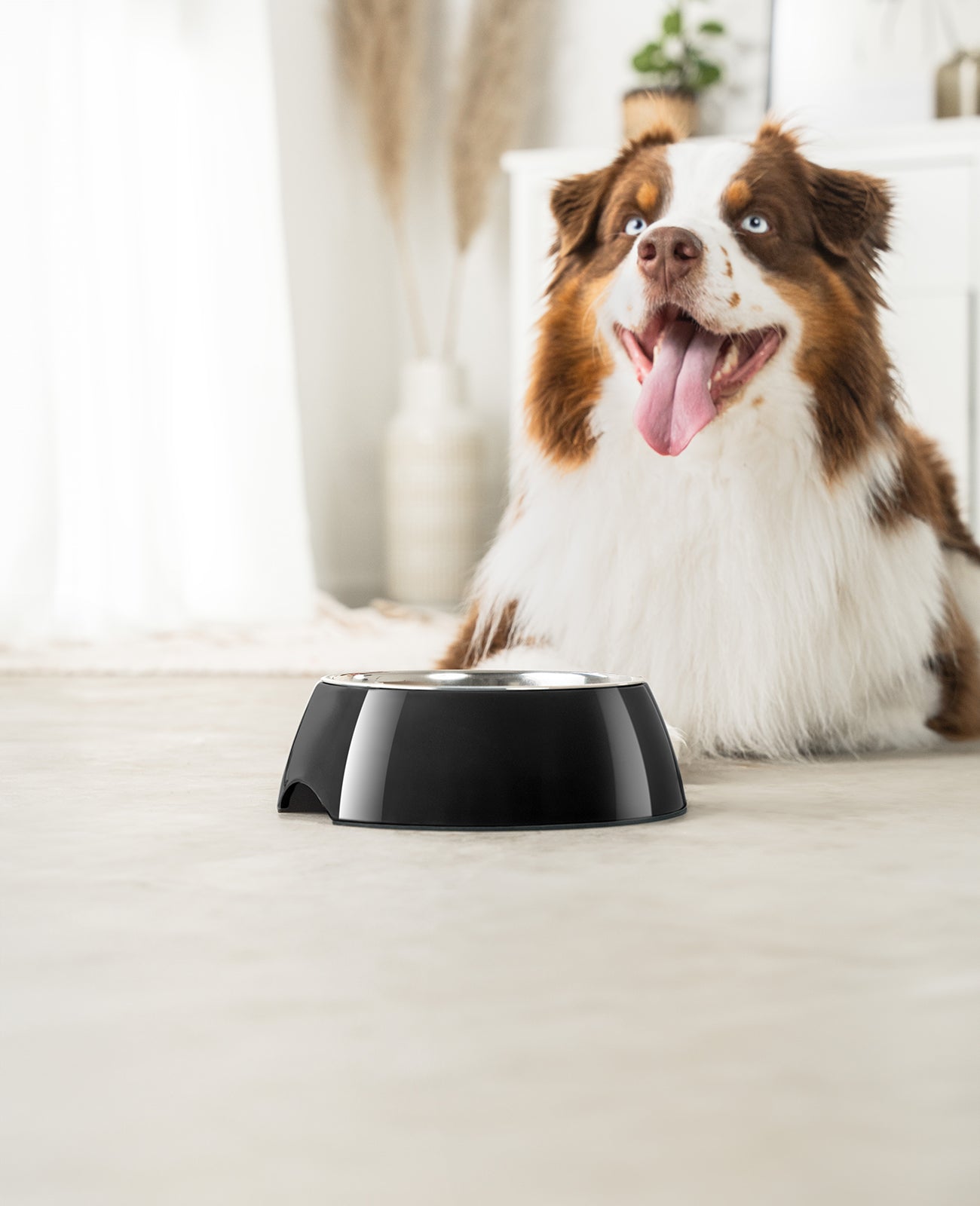 Hundenapf aus Melamin