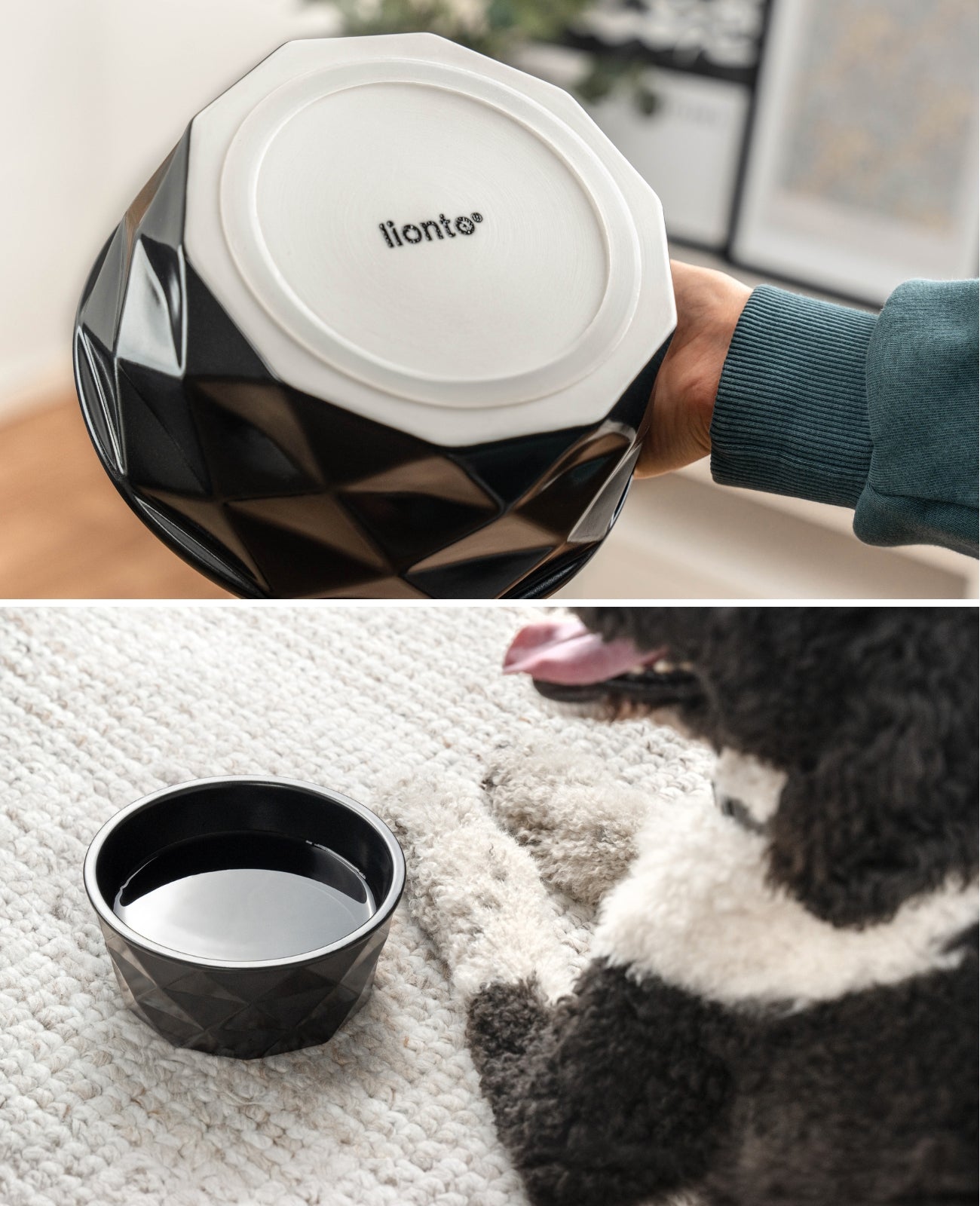 Hundenapf aus Keramik