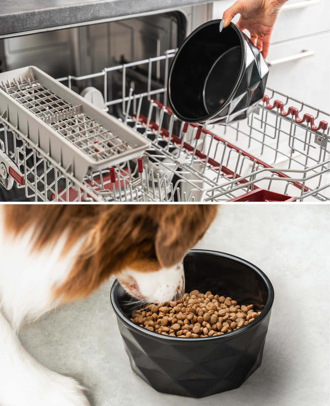 Hundenapf aus Keramik