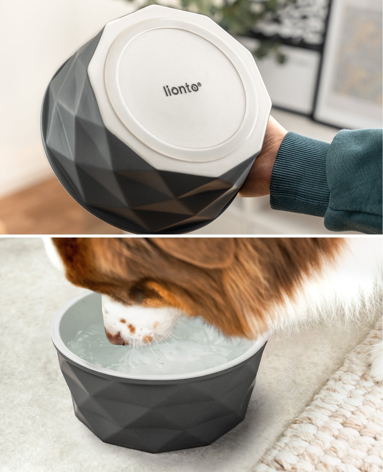 Hundenapf aus Keramik