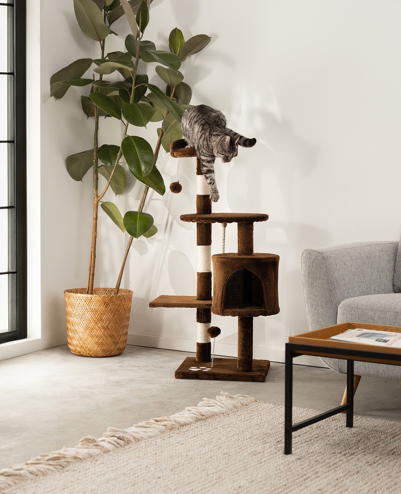 Kratzbaum Höhe 112 cm