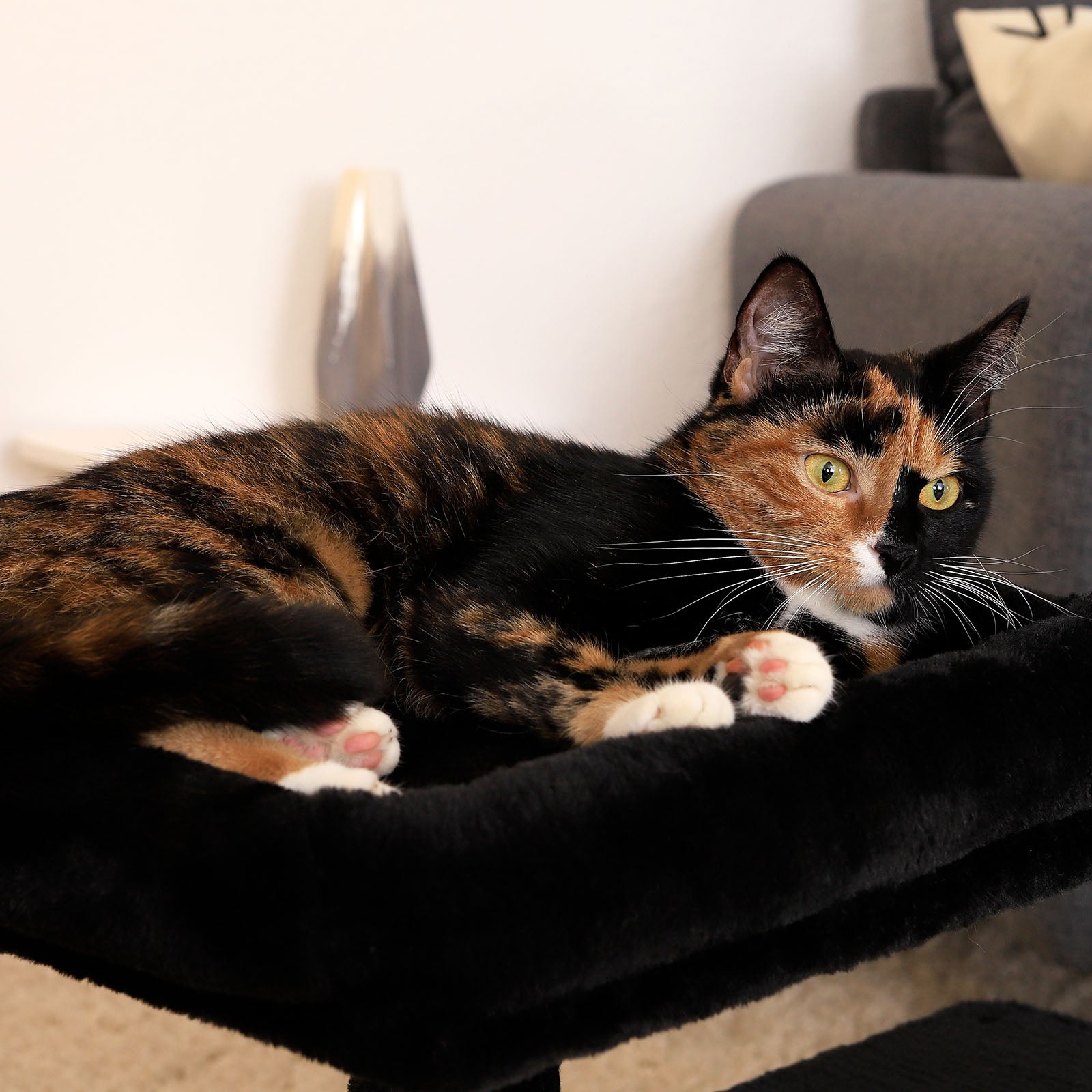 Krabpaal hoogte 50 cm