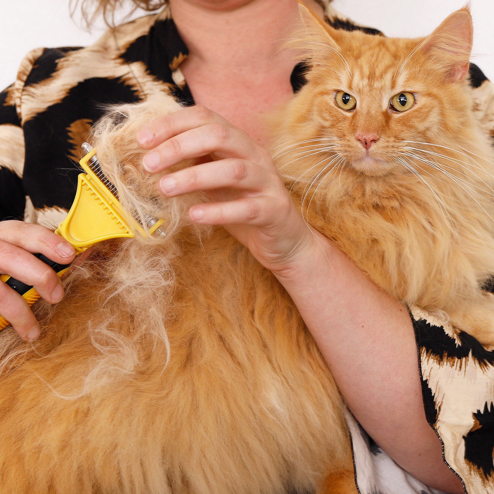 Hondenborstels kattenborstels voor het verzorging verschillende varianten