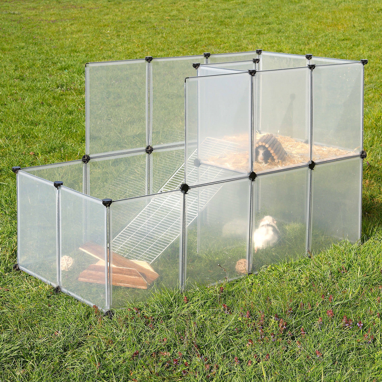 Meerschweinchen sitzen in Freilaufgehege aus Kunststoff auf Wiese