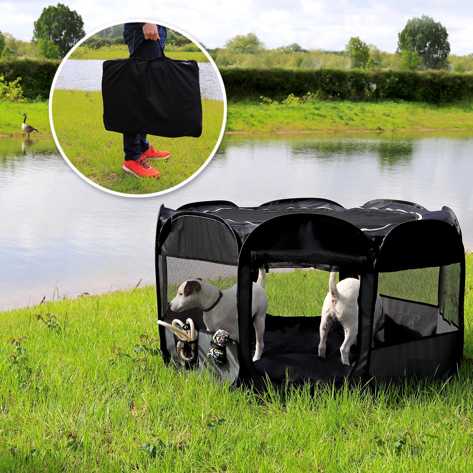 zwei Welpen im Welpenauslauf auf Wiese am Wasser und Mann der zusammengefaltenen Auslauf trägt