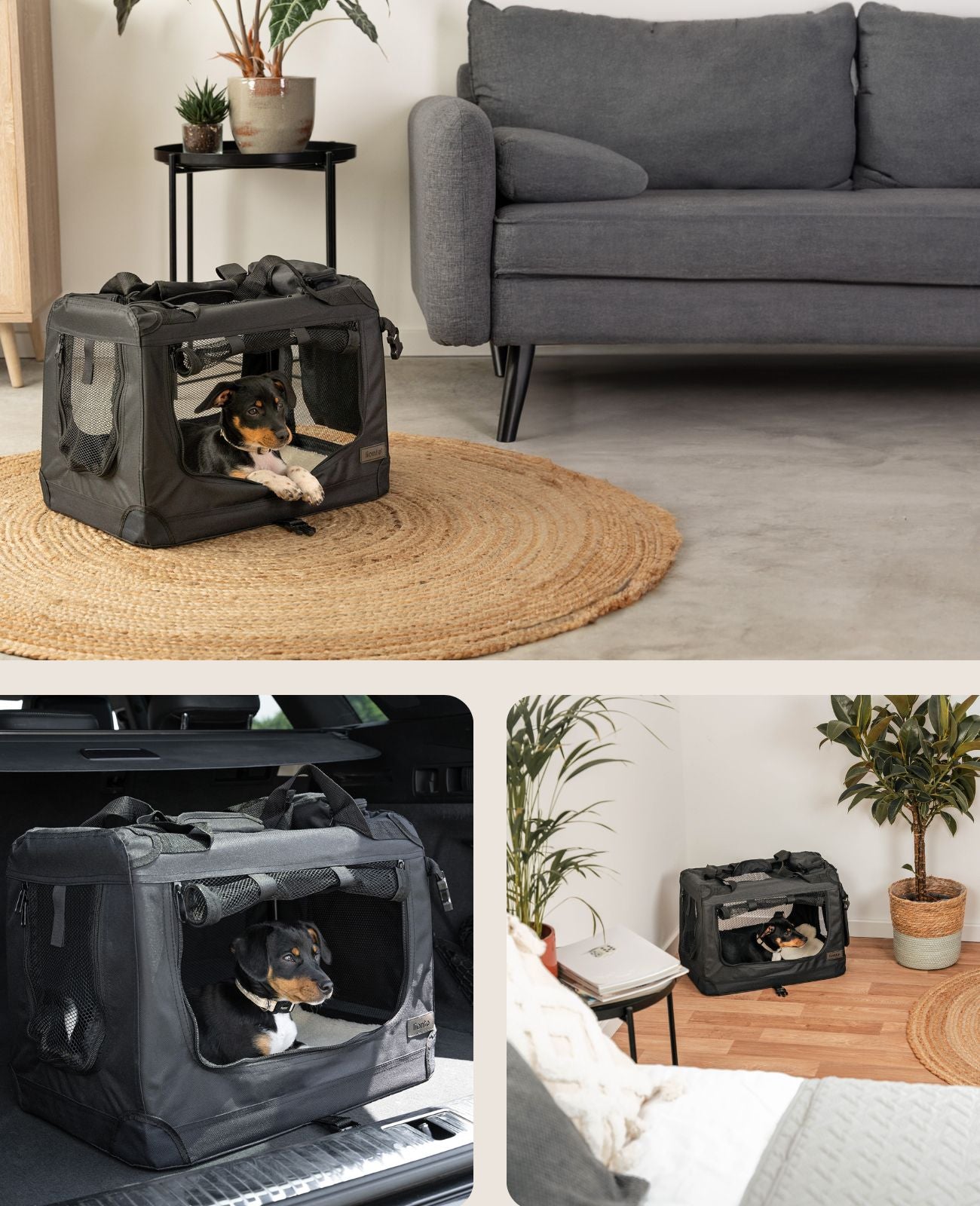 Hundetransportbox faltbar