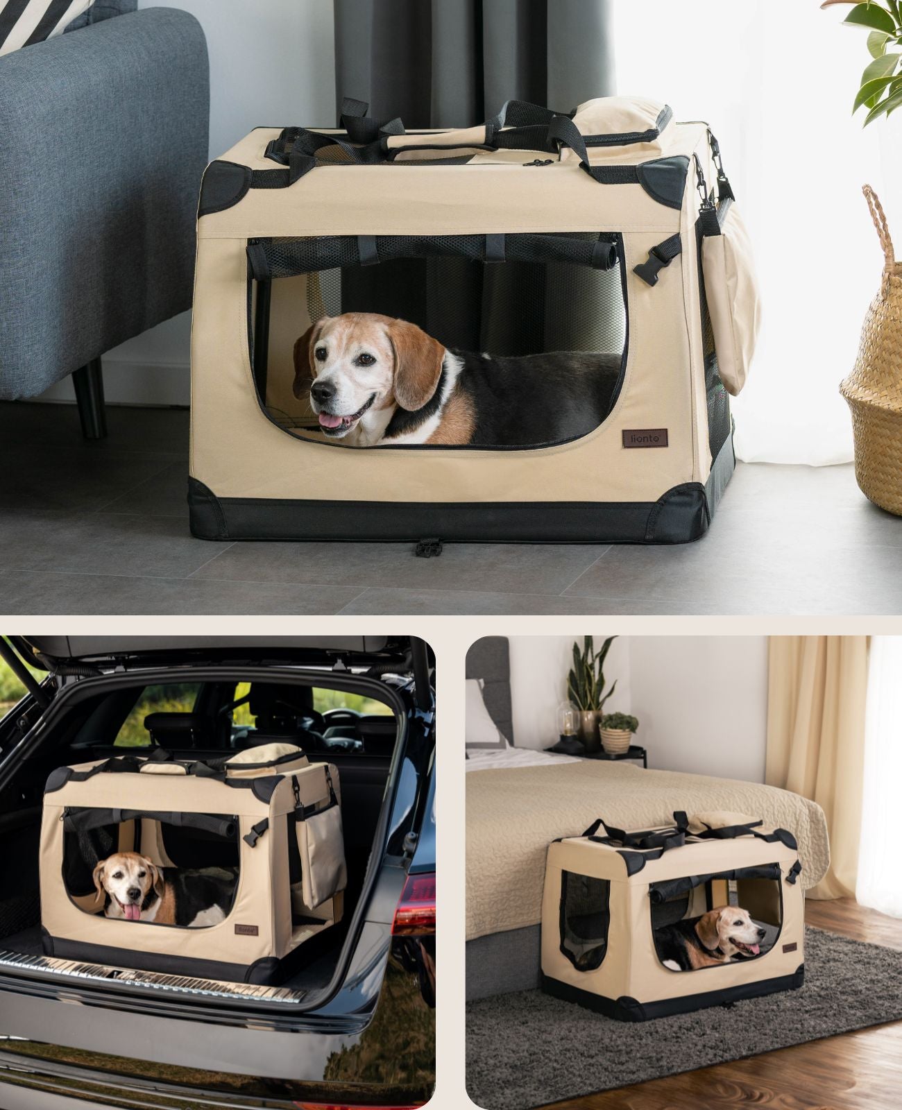 Hundetransportbox faltbar